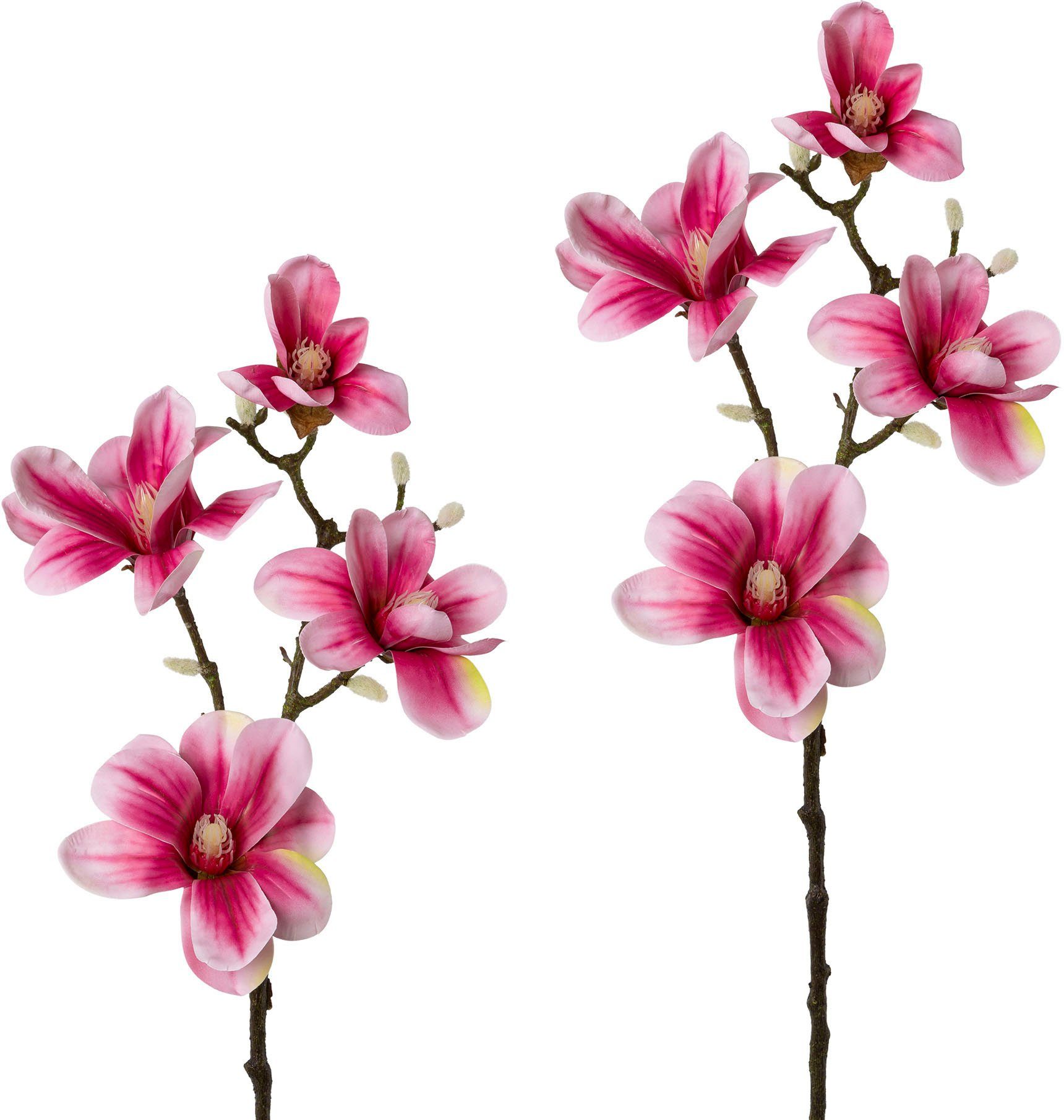 Creativ green Kunsttak Tak magnolia set van 2 (2 stuks)