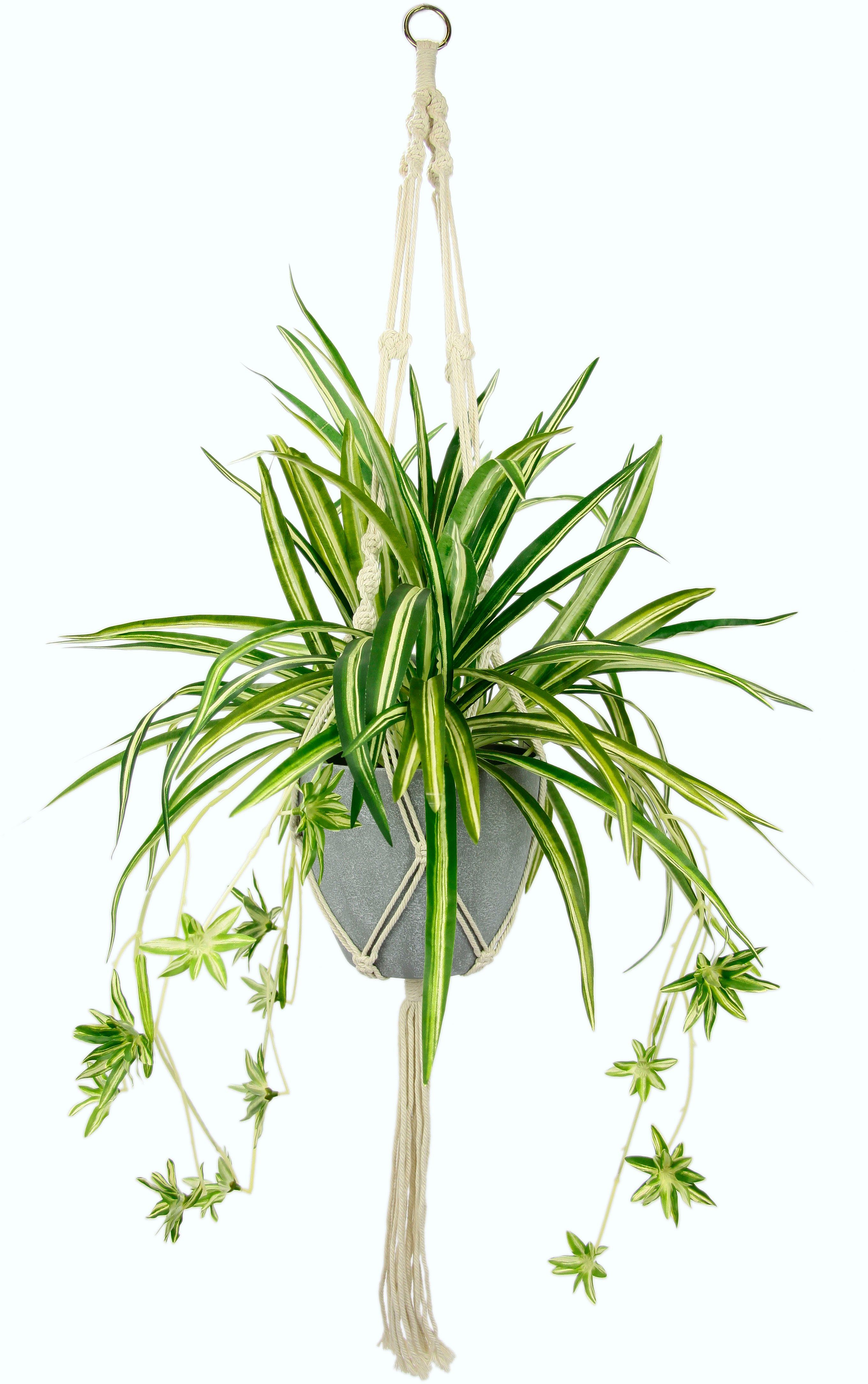 I.GE.A. Kunst-potplanten Waterlelie in een kunststof pot, met plantenhanger (1 stuk) kunstplanten wit
