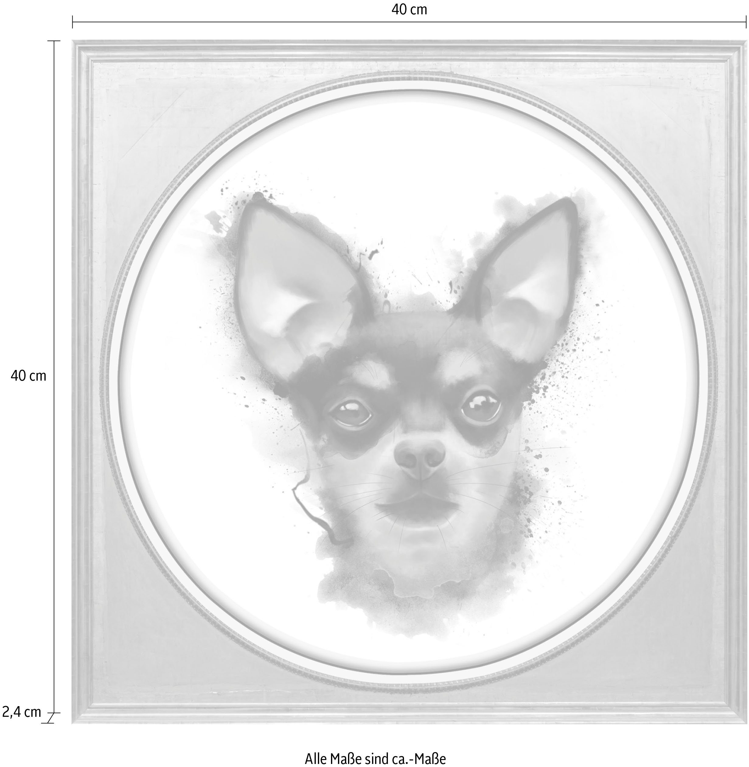 queence Artprint op acrylglas Hond Fine Art-print in galeriekwaliteit