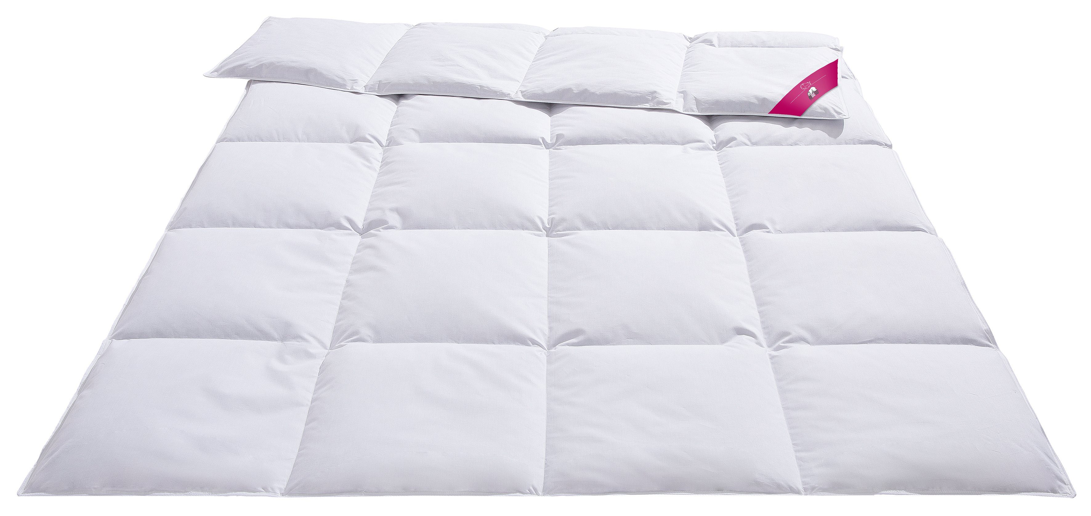 RIBECO Donzen dekbed + hoofdkussen JOHANNA Feelgood-comfort met de voordelen van de natuur (voordeelset)