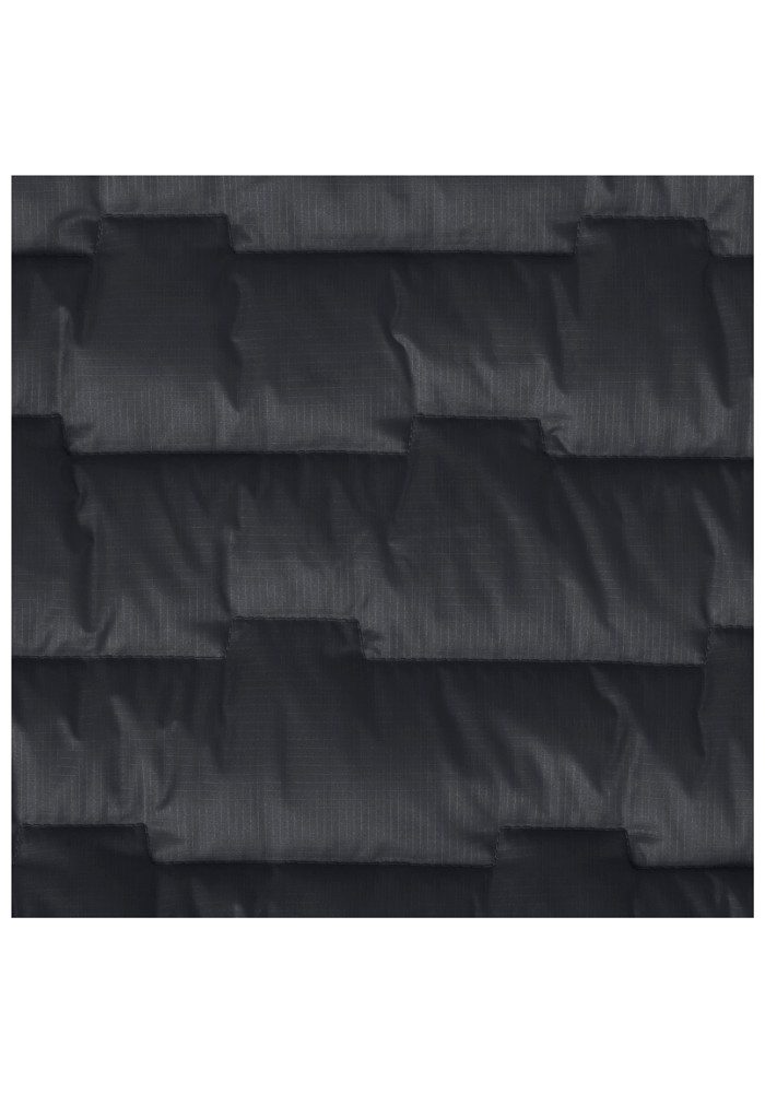 Jack Wolfskin Donsjack PASSAMANI DOWN HOODY W RDS