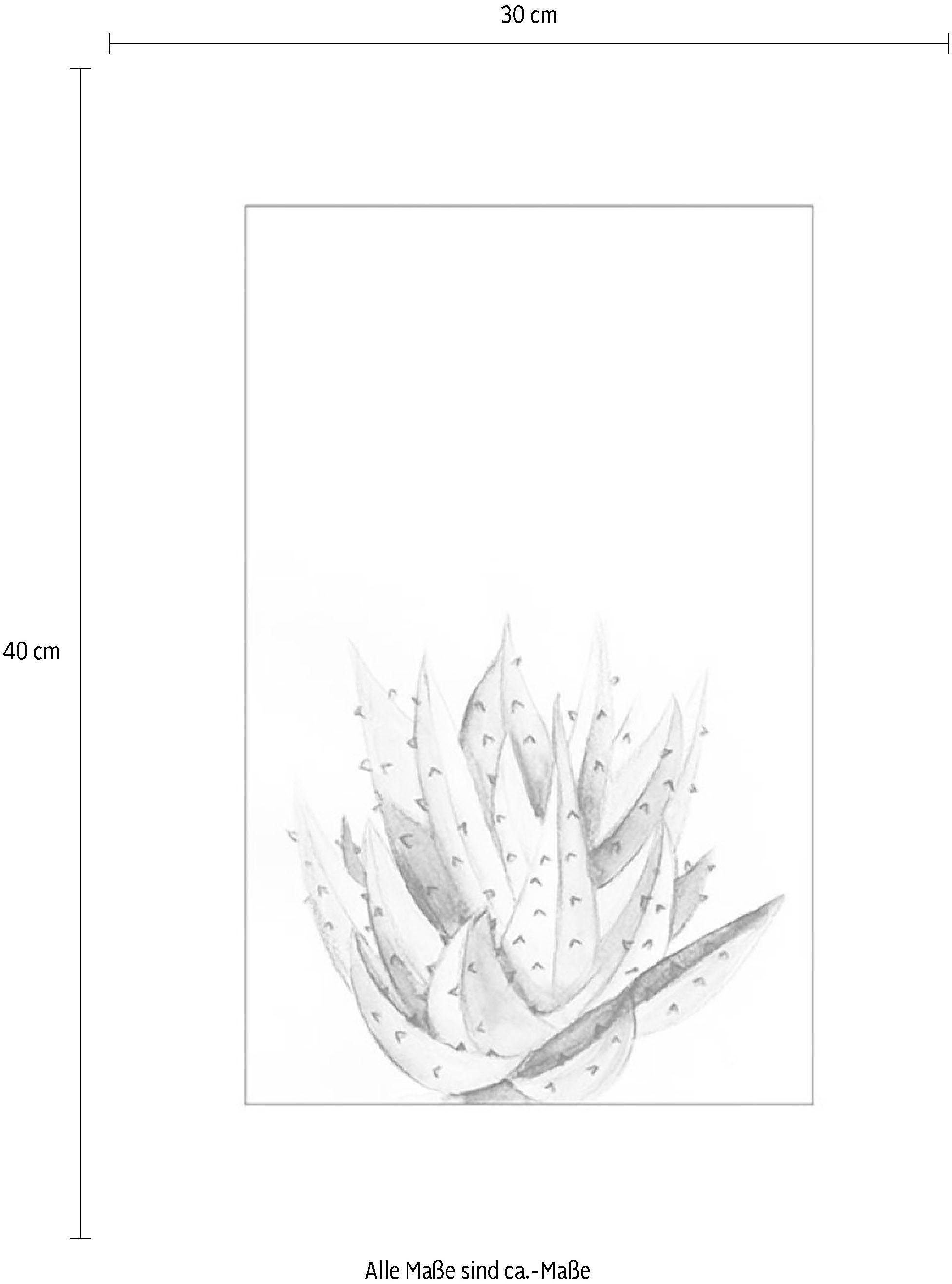 Komar Wanddecoratie Aloe Watercolor Wanddecoratie - zonder lijst (1 stuk)