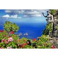 papermoon fotobehang capri island view vliesbehang, eersteklas digitale print multicolor