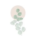 queence artprint op linnen blaadjes roze cirkel groen