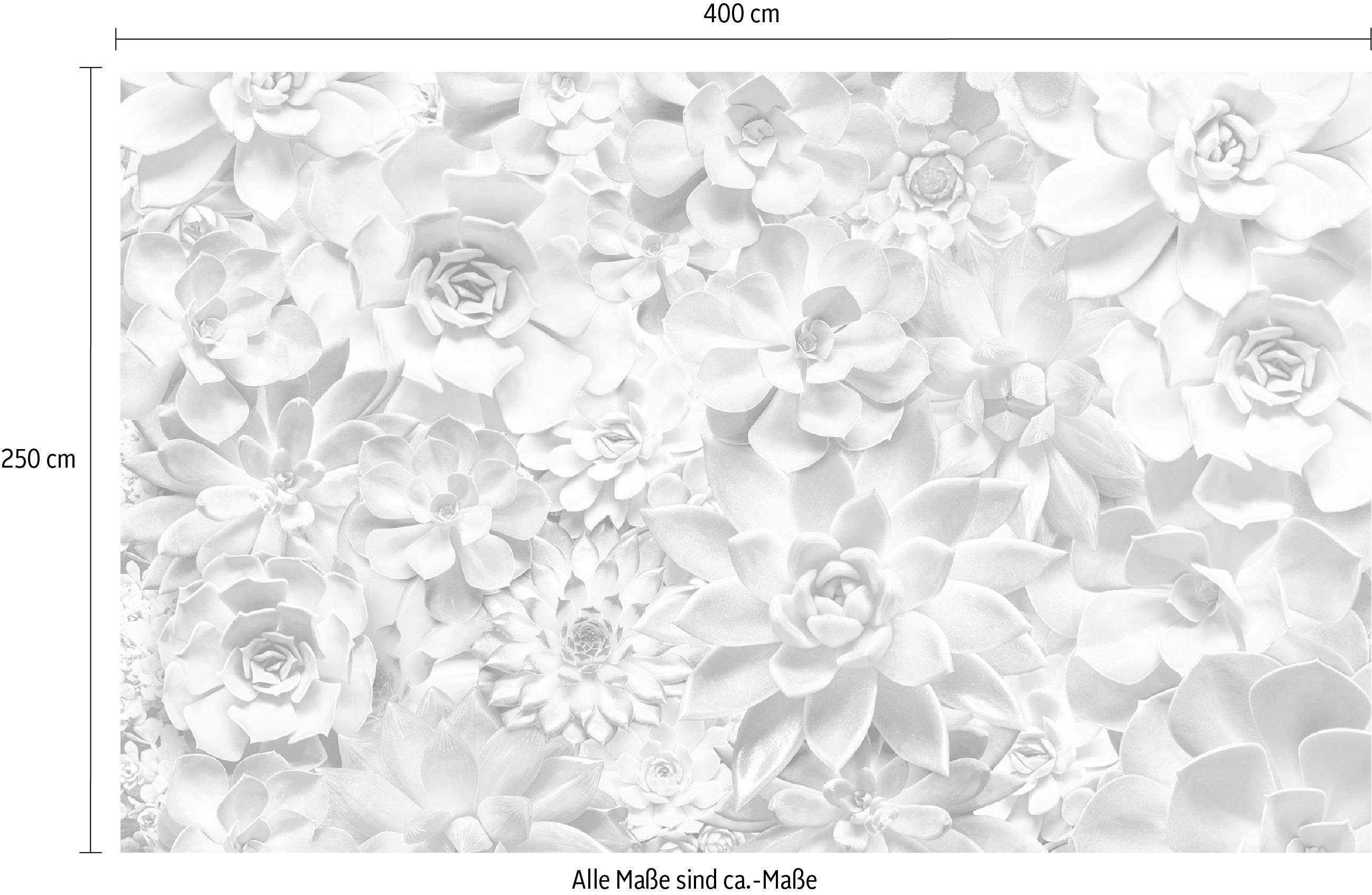 Komar Vliesbehang Digitale print vlies - Shades Black and White - Afmeting 400 x 250 cm (1 stuk)