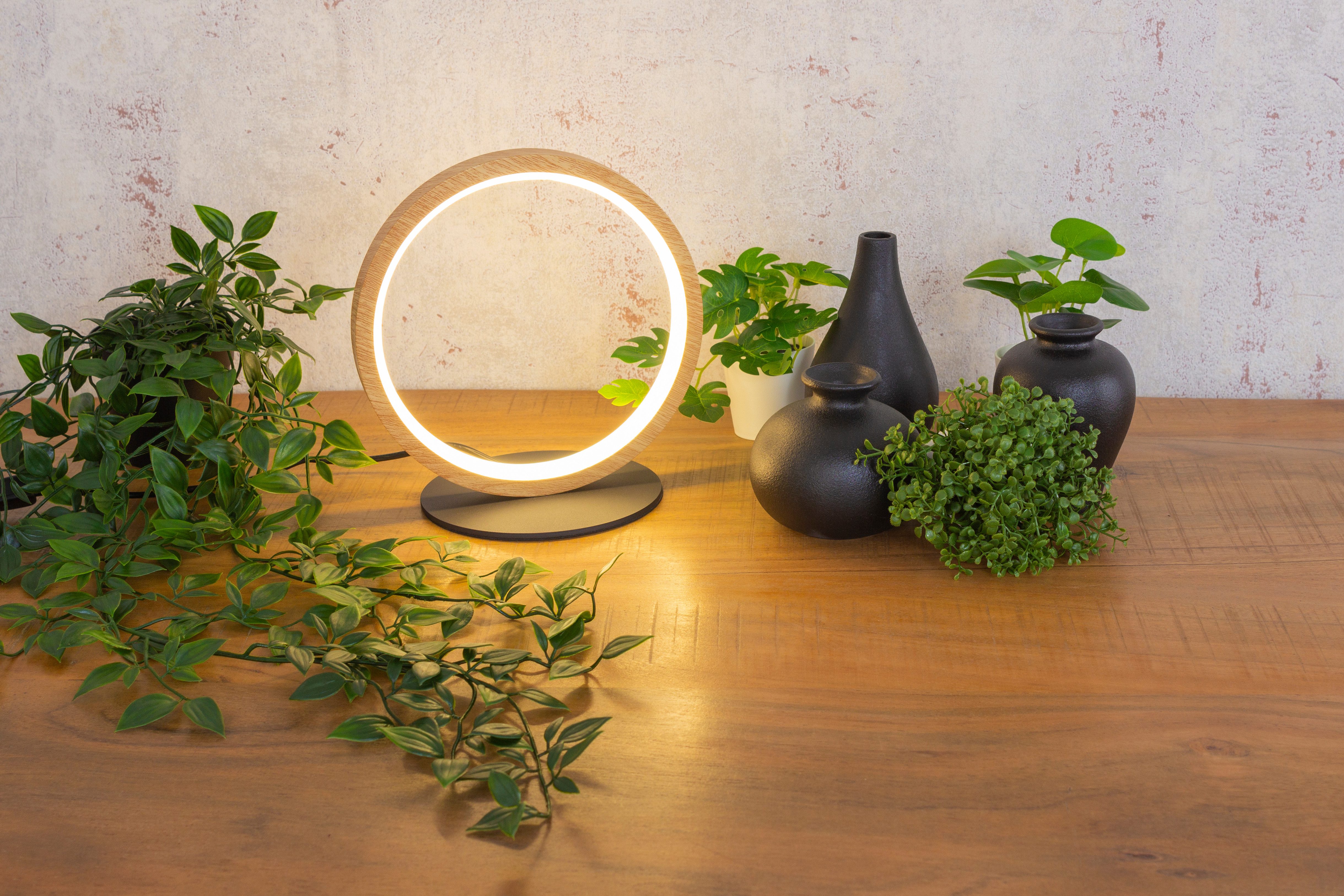 ECO-LIGHT Led-tafellamp KASHIBA