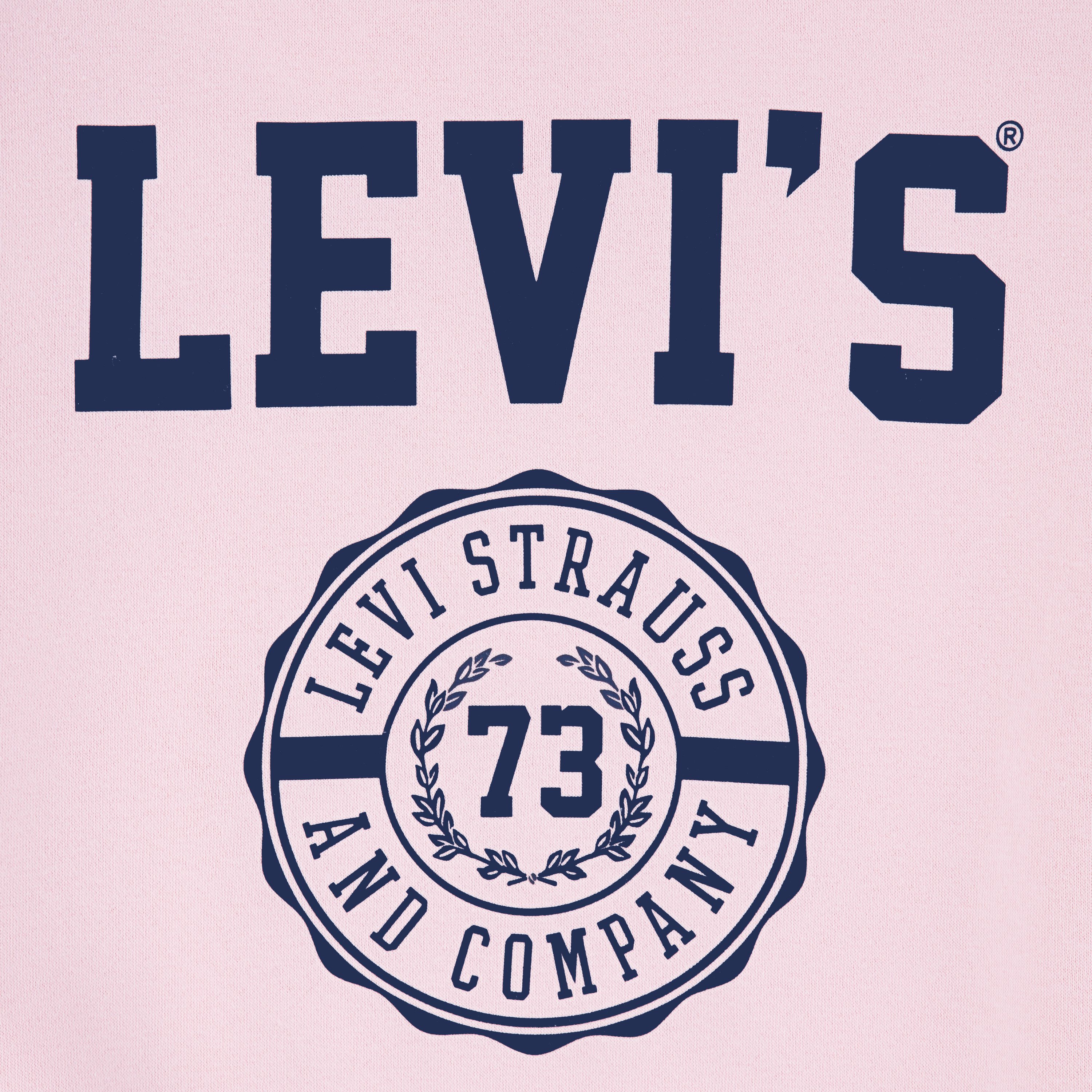 Levi's Kidswear Sweatshirt LVG COLLEGIATE CREW