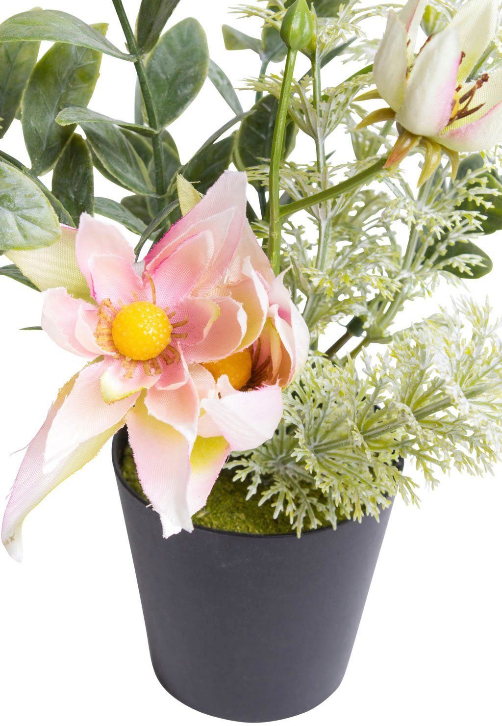 Botanic-Haus Kunst-potplanten Helleborus-arrangement in een zwarte kunststof pot (set, 3 stuks)