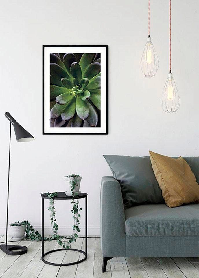 Komar Wanddecoratie Succulent single Wanddecoratie - zonder lijst (1 stuk)