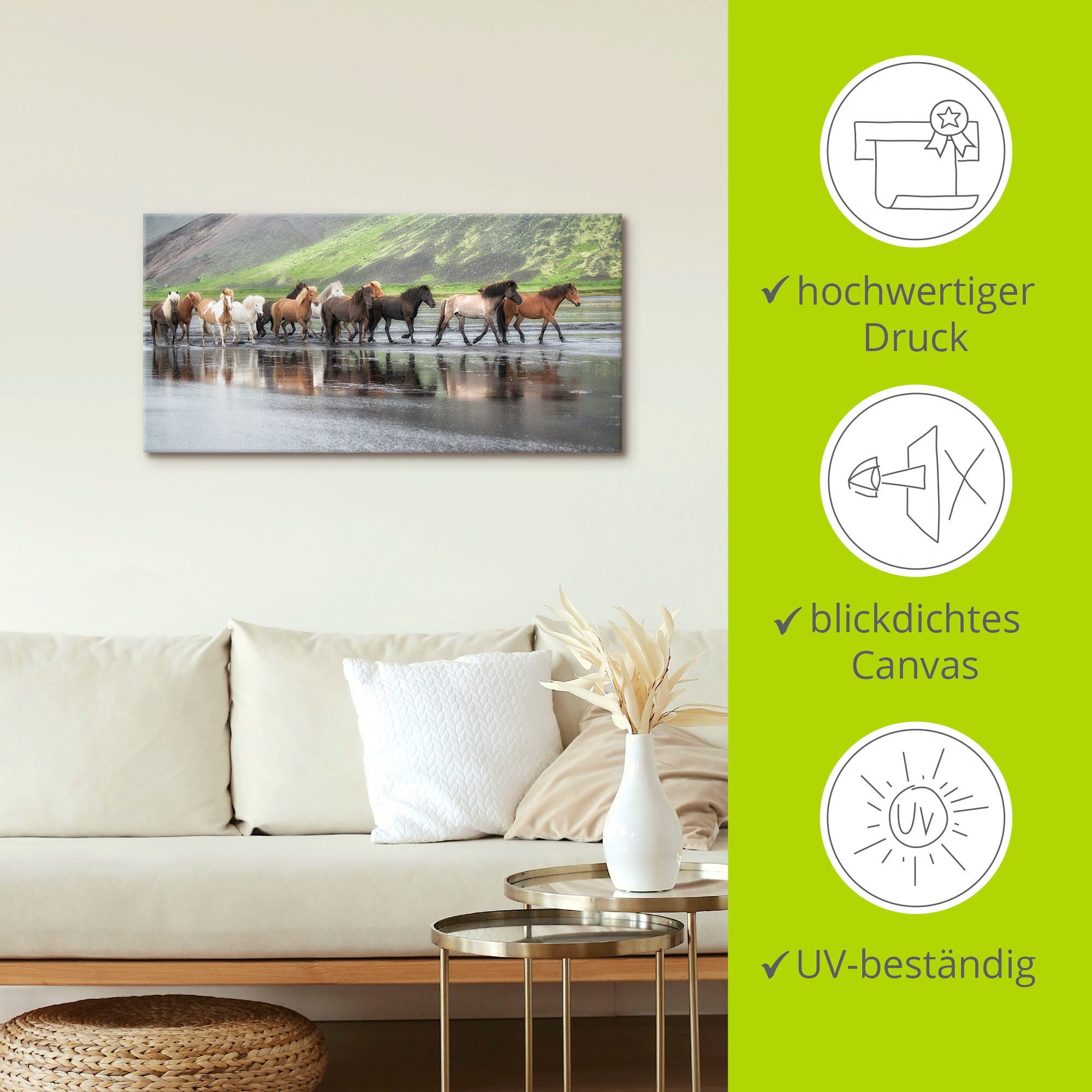 Artland Artprint IJslandse paarden XIV als artprint op linnen, muursticker in verschillende maten