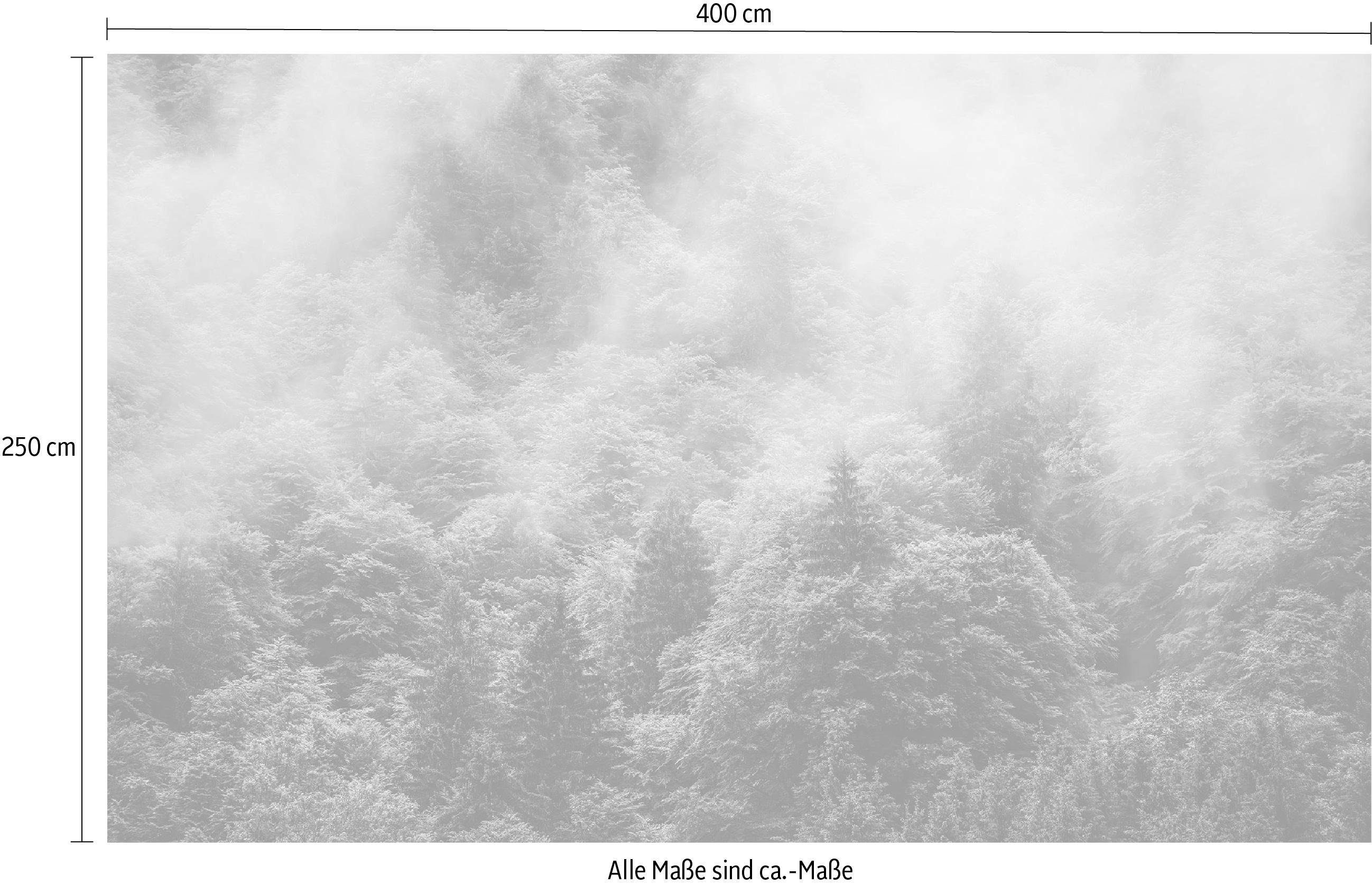 Komar Vliesbehang Digitale print vlies - Forest Land - Afmeting 400 x 250 cm (1 stuk)