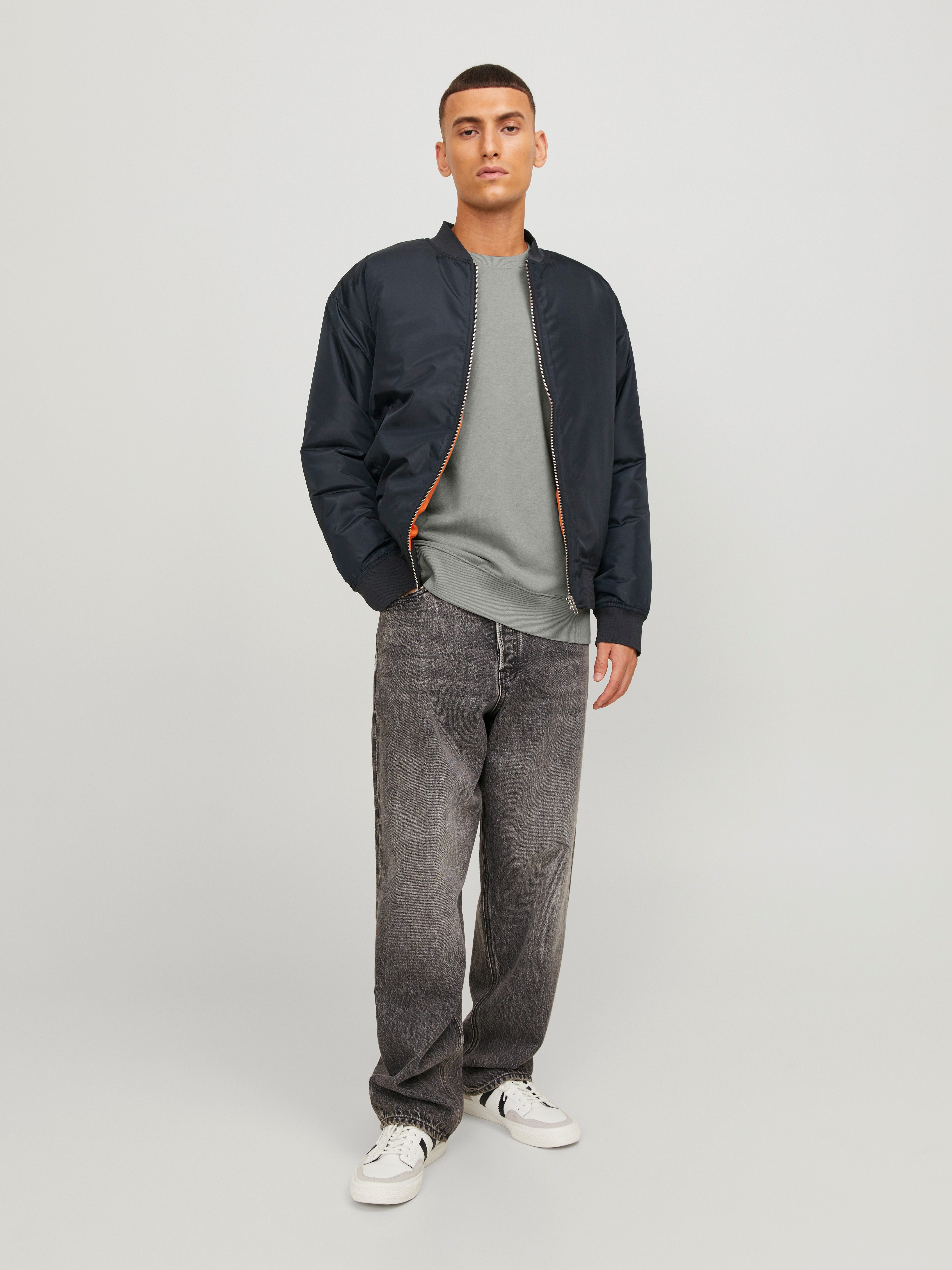 Jack & Jones Sweatshirt JJESTAR BASIC SWEAT CREW NECK NOOS
