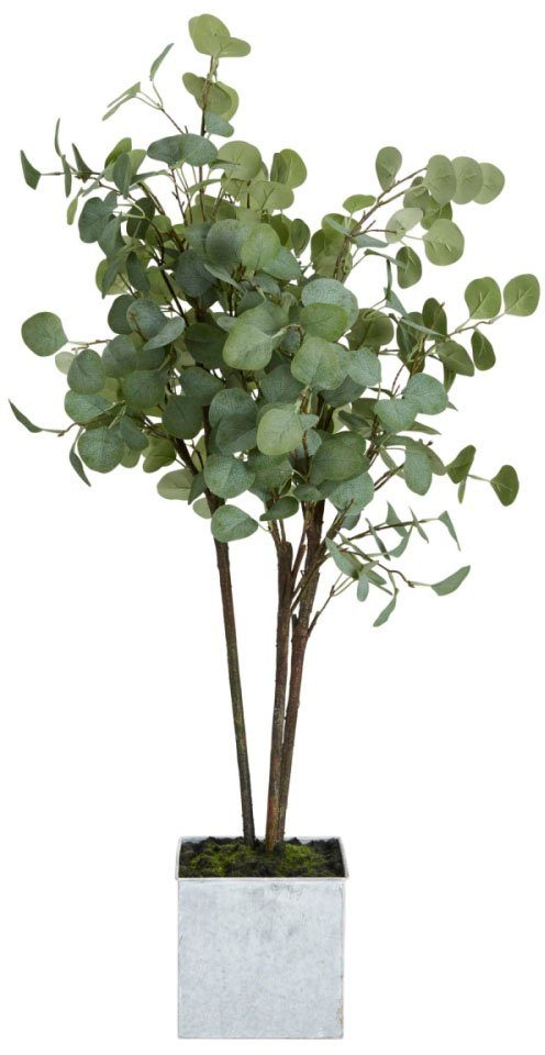 Schneider Kunstplant Eucalyptus (1 stuk)