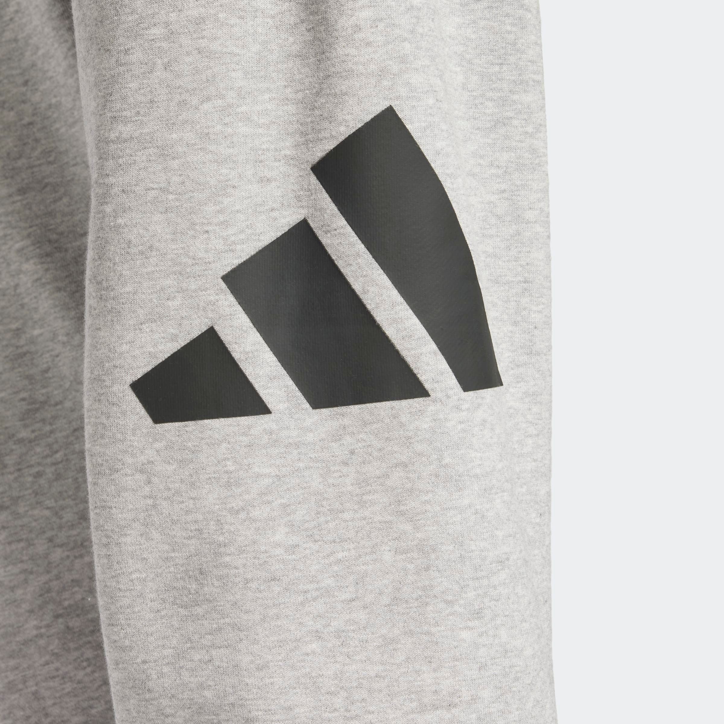 adidas Sportswear Sportbroek M BL FT PT (1-delig)