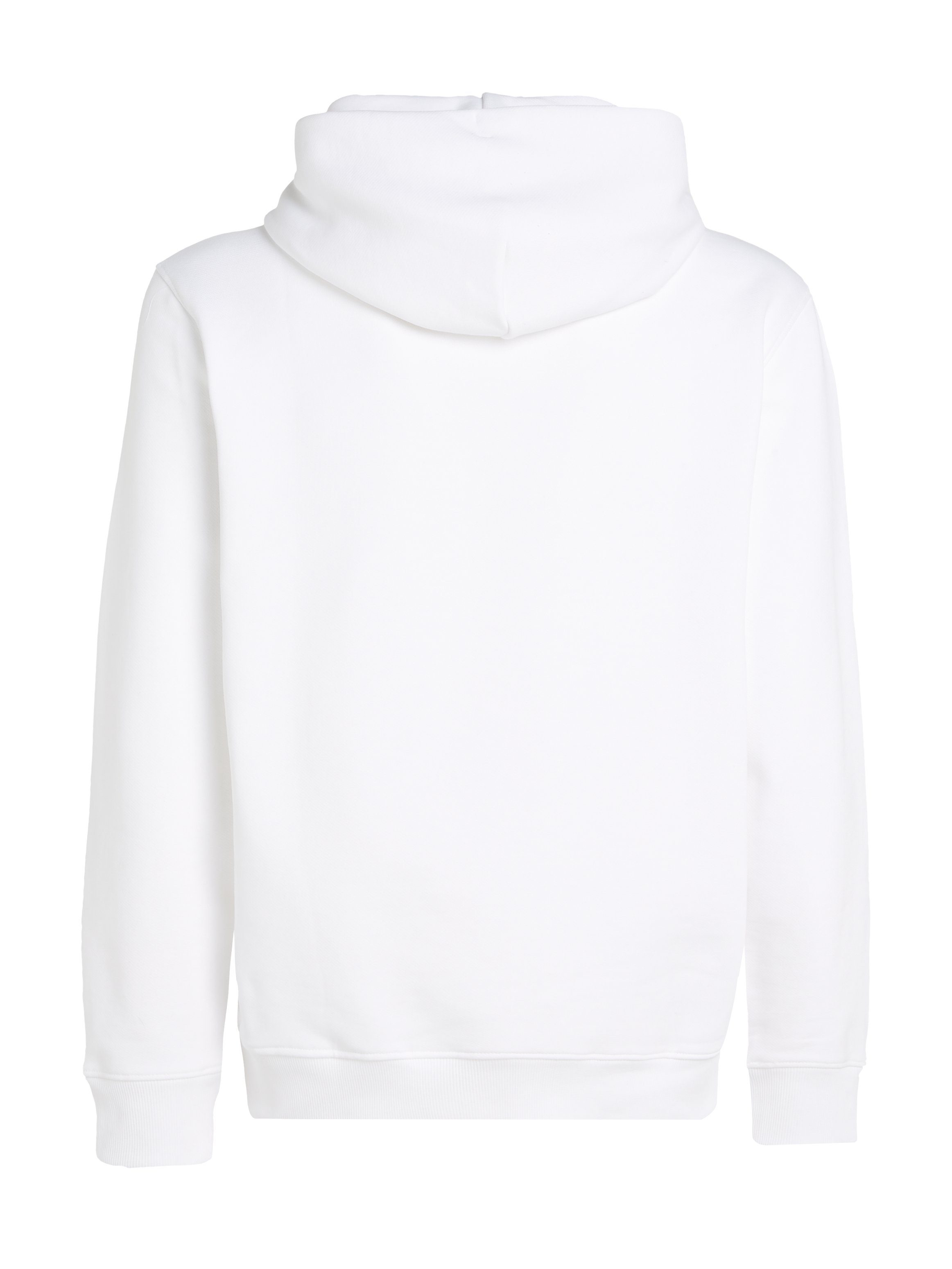 TOMMY JEANS Hoodie TJM REG BADGE HOODIE EXT