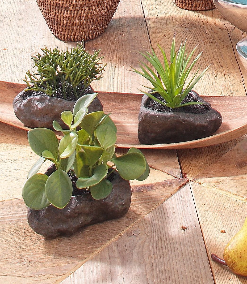 Home affaire Kunstplant Vetplanten (4 stuks)