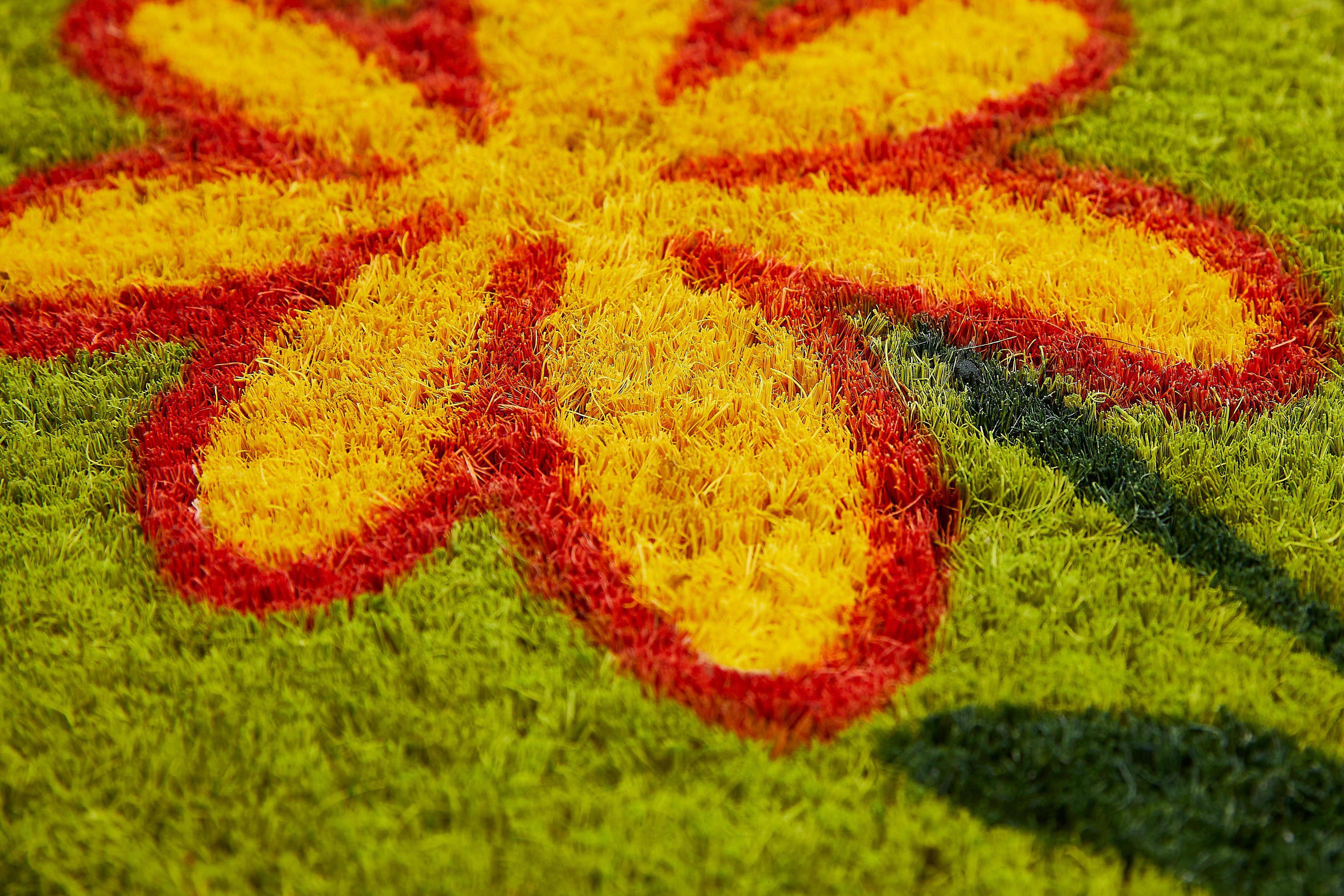 Andiamo Mat Salome bloemen Inloopmat, kokosmat, gietijzer look, motief bloemen
