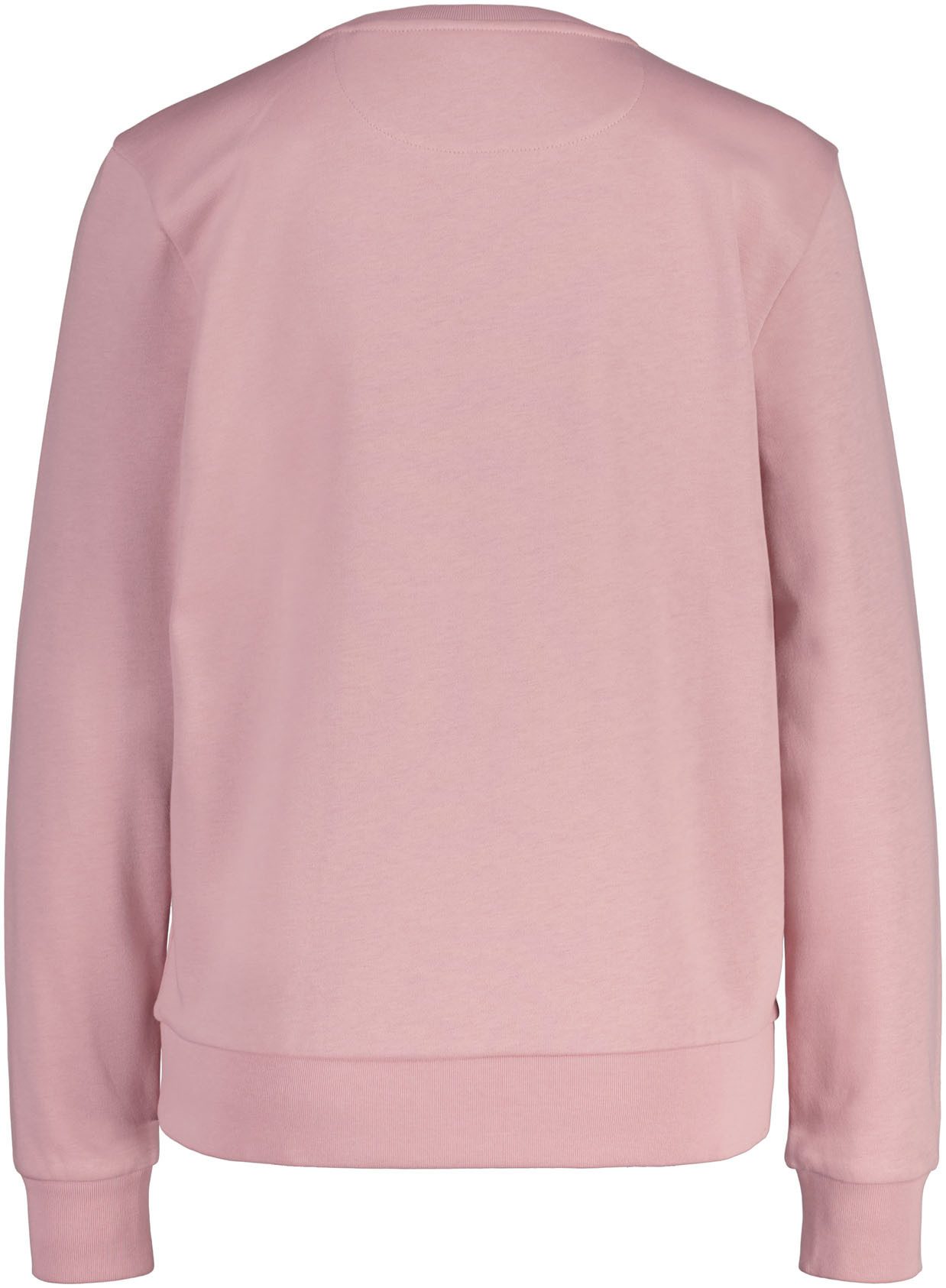 Gant Sweatshirt REG PRINTED GRAPHIC C-NECK