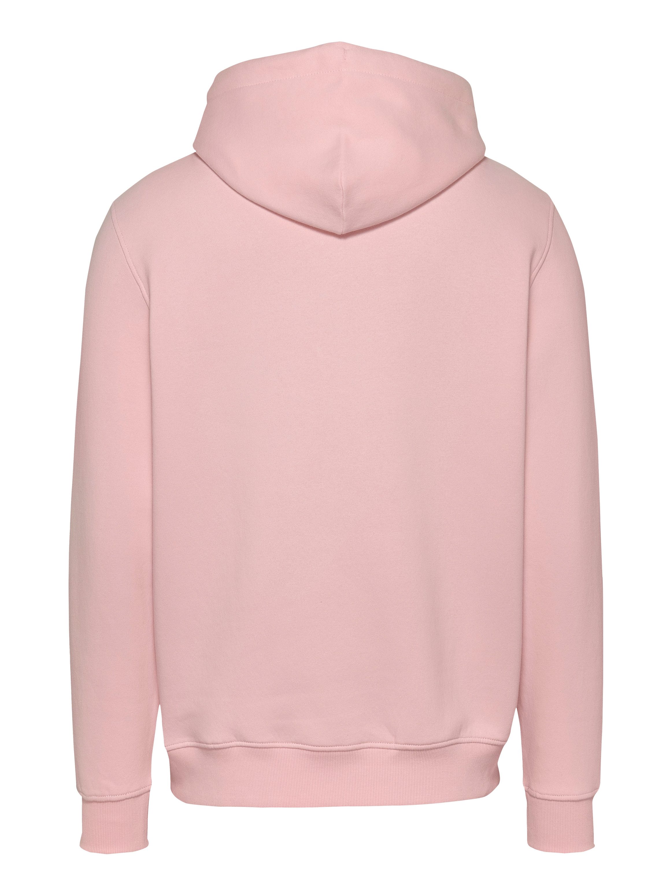 TOMMY JEANS Hoodie TJM REG LINEAR LOGO HOODIE EXT
