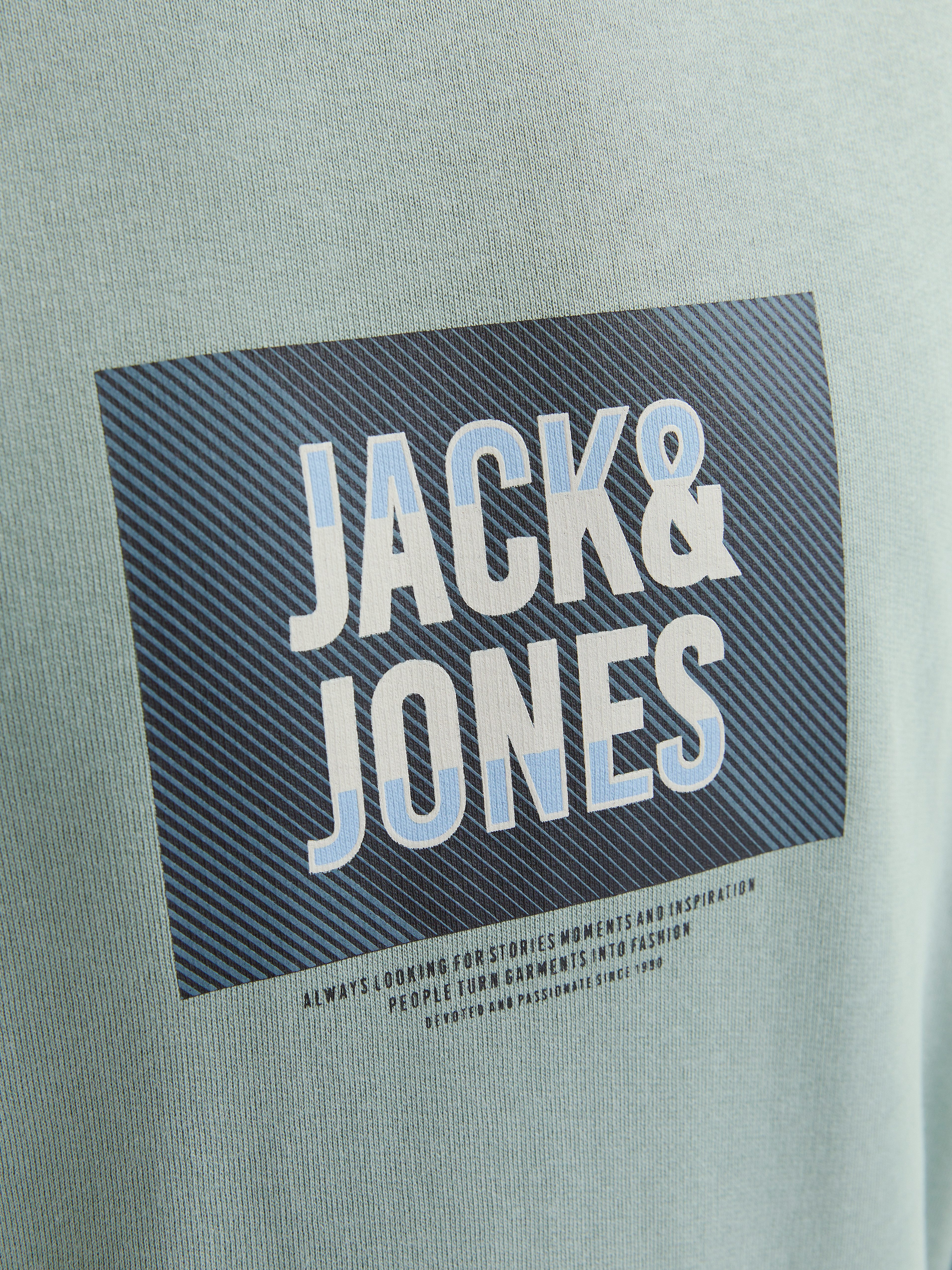 Jack & Jones Sweatshirt JJHUDSON SWEAT CREW NECK