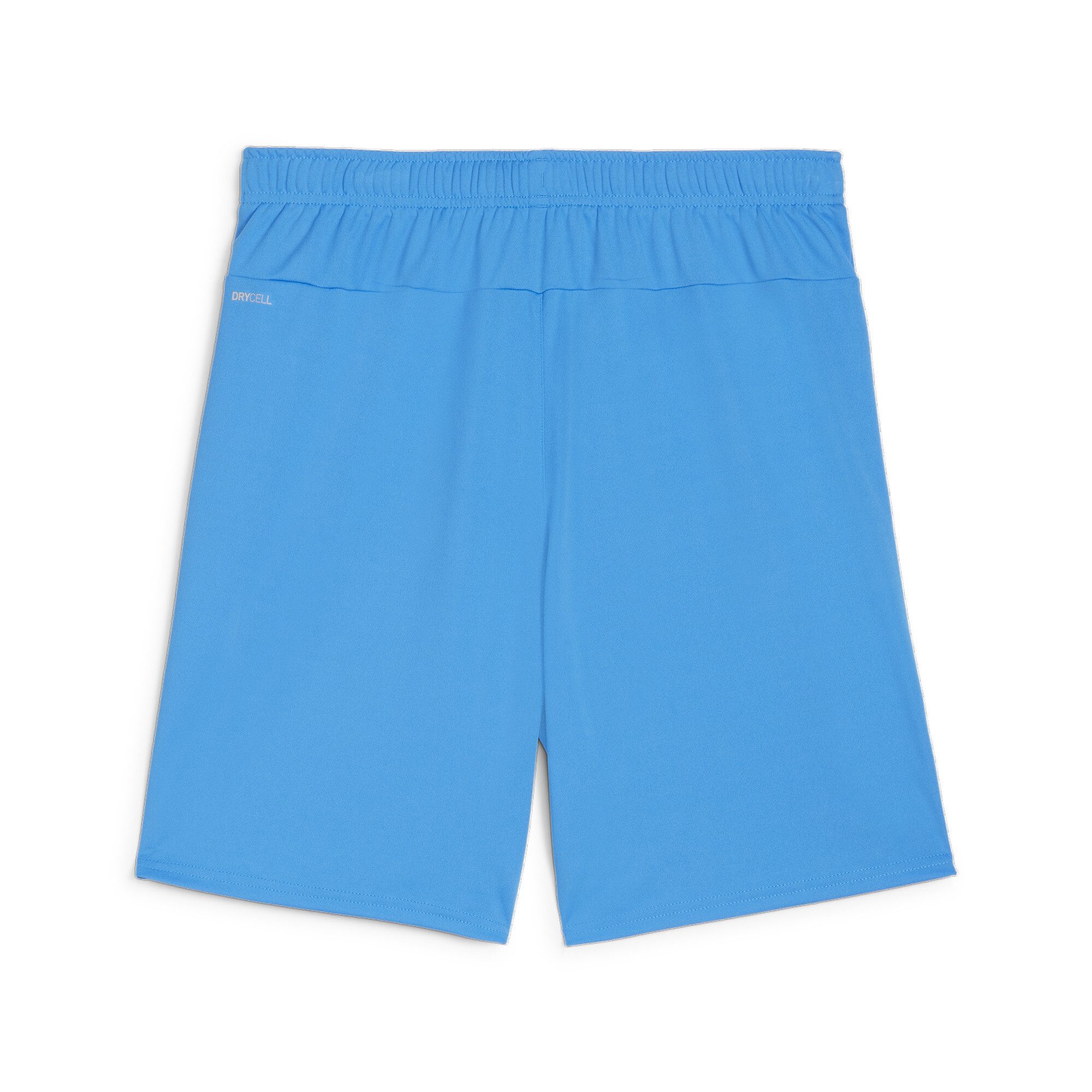 PUMA Trainingsshort TEAMGOAL SHORTS