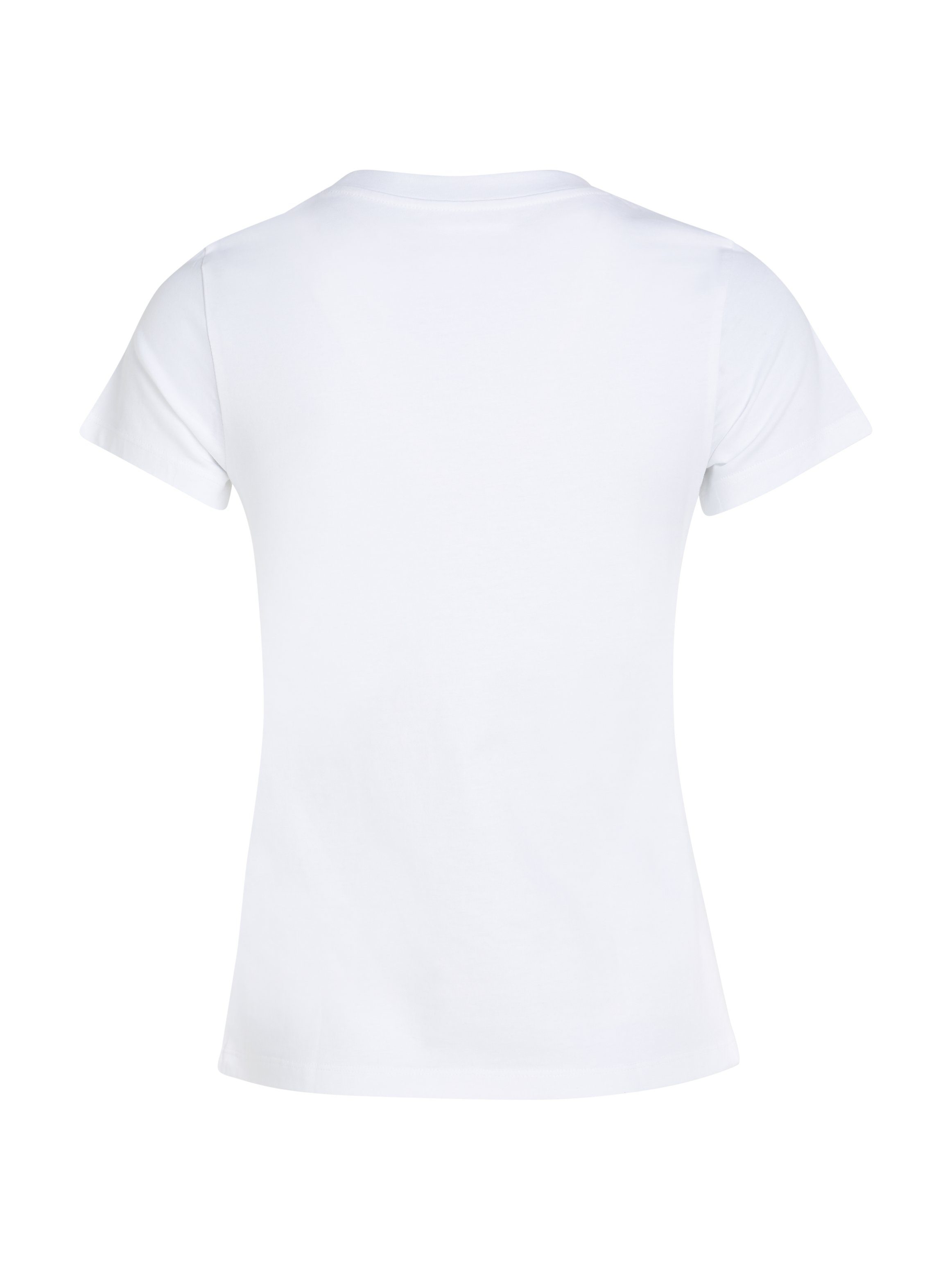 Calvin Klein T-shirt Institutional Logo 2-pack tee (Set van 2)