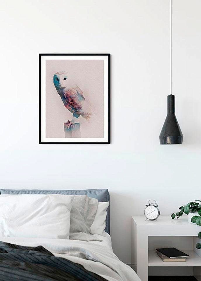 Komar Wanddecoratie Animals forest Owl Wanddecoratie - zonder lijst (1 stuk)