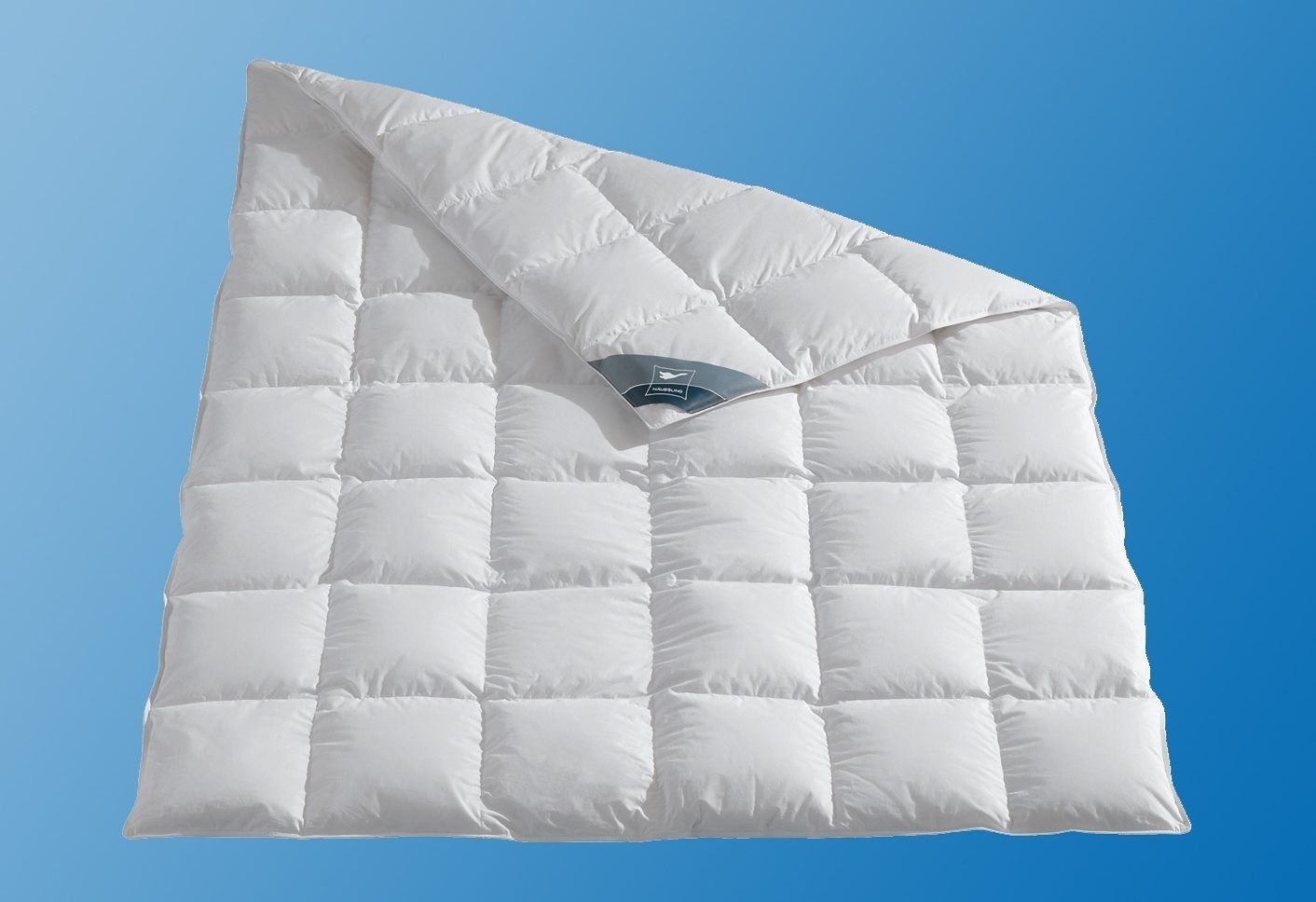 Haeussling Donzen dekbed + hoofdkussen Knuffeldroom (voordeelset)
