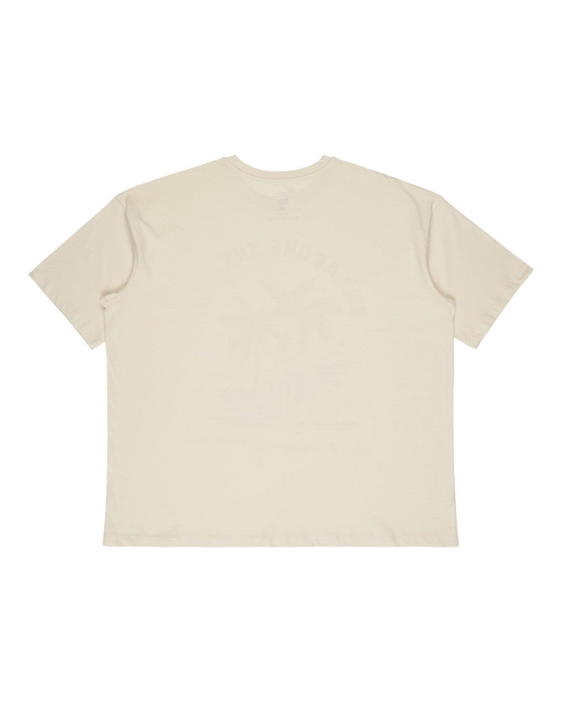 Billabong T-shirt This Is Tropica