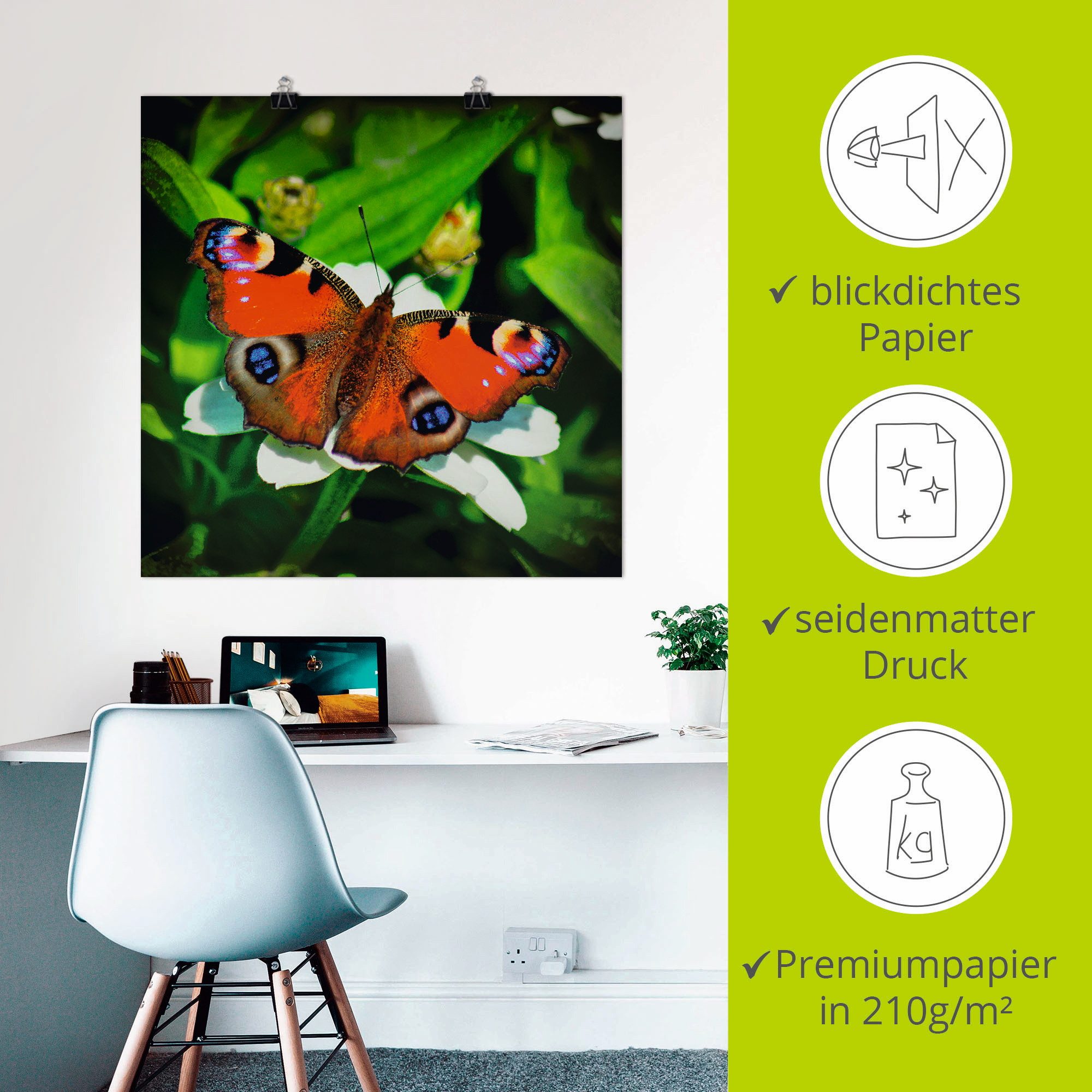 Artland Artprint Dagpauwoog als artprint op linnen, poster in verschillende formaten maten