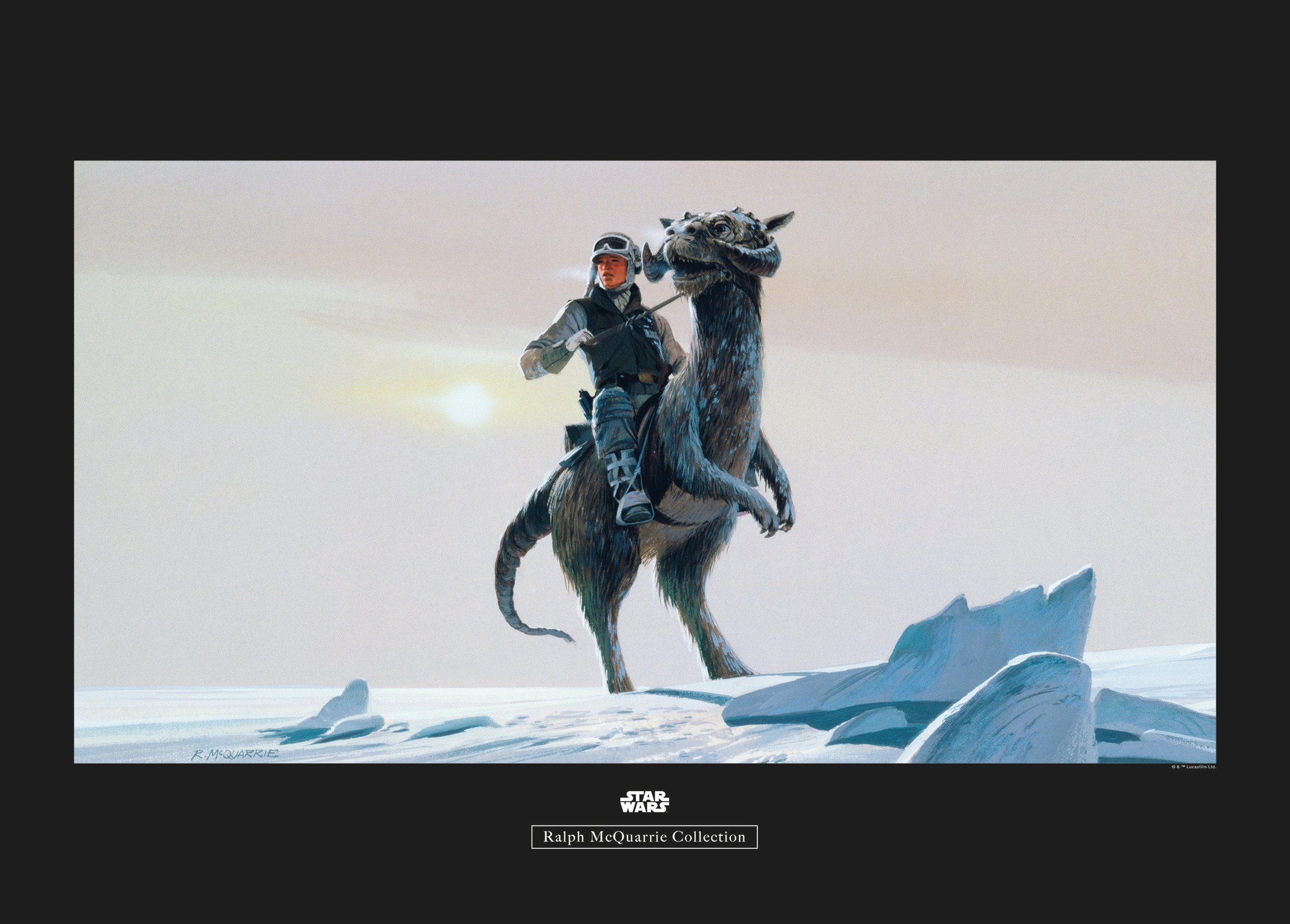 Komar Poster Star Wars Classic RMQ Hoth Tauntaun