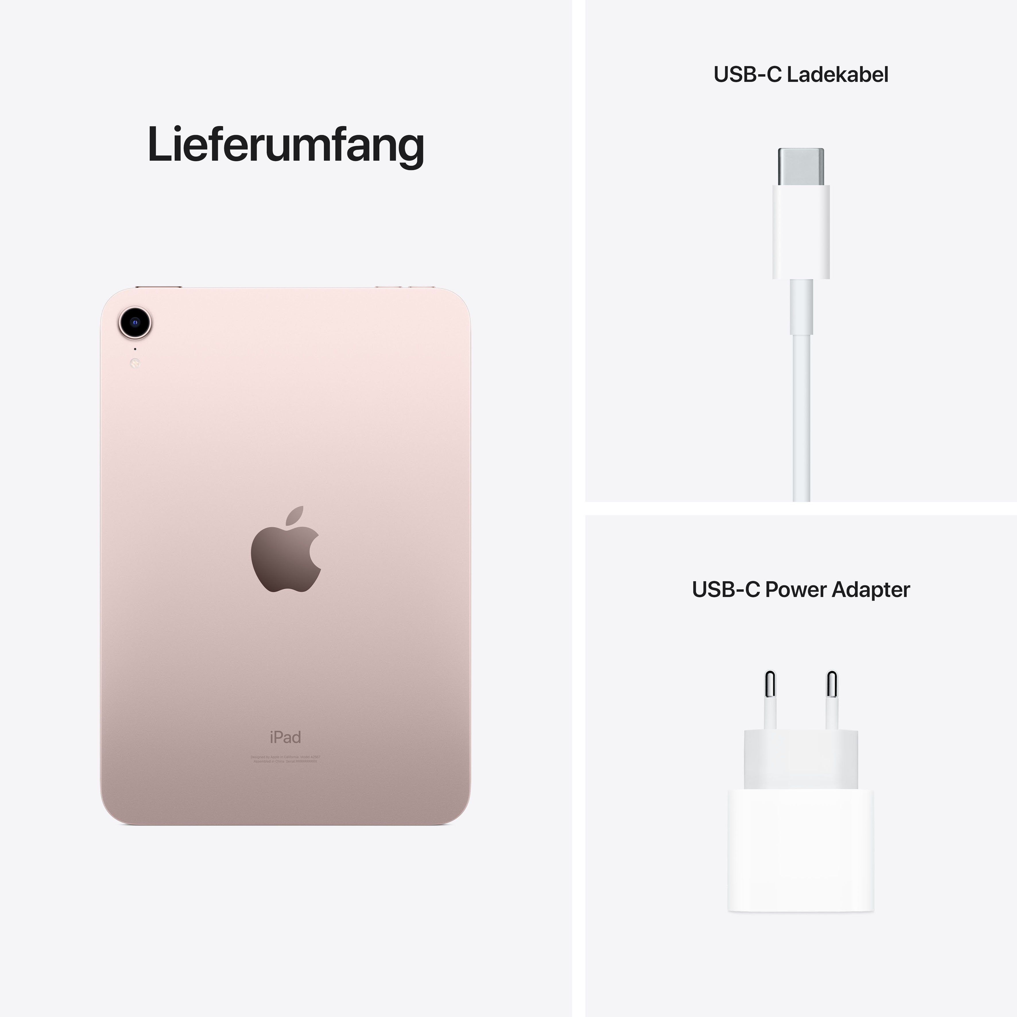 Apple Tablet iPad mini WiFi (2021), 8,3", iPadOS