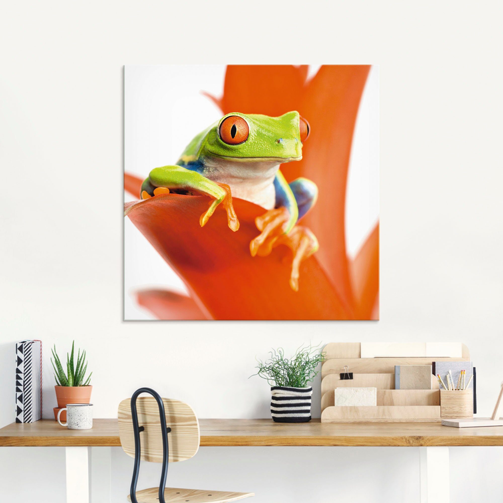 Artland Print op glas Kikker op zijn troon in verschillende maten