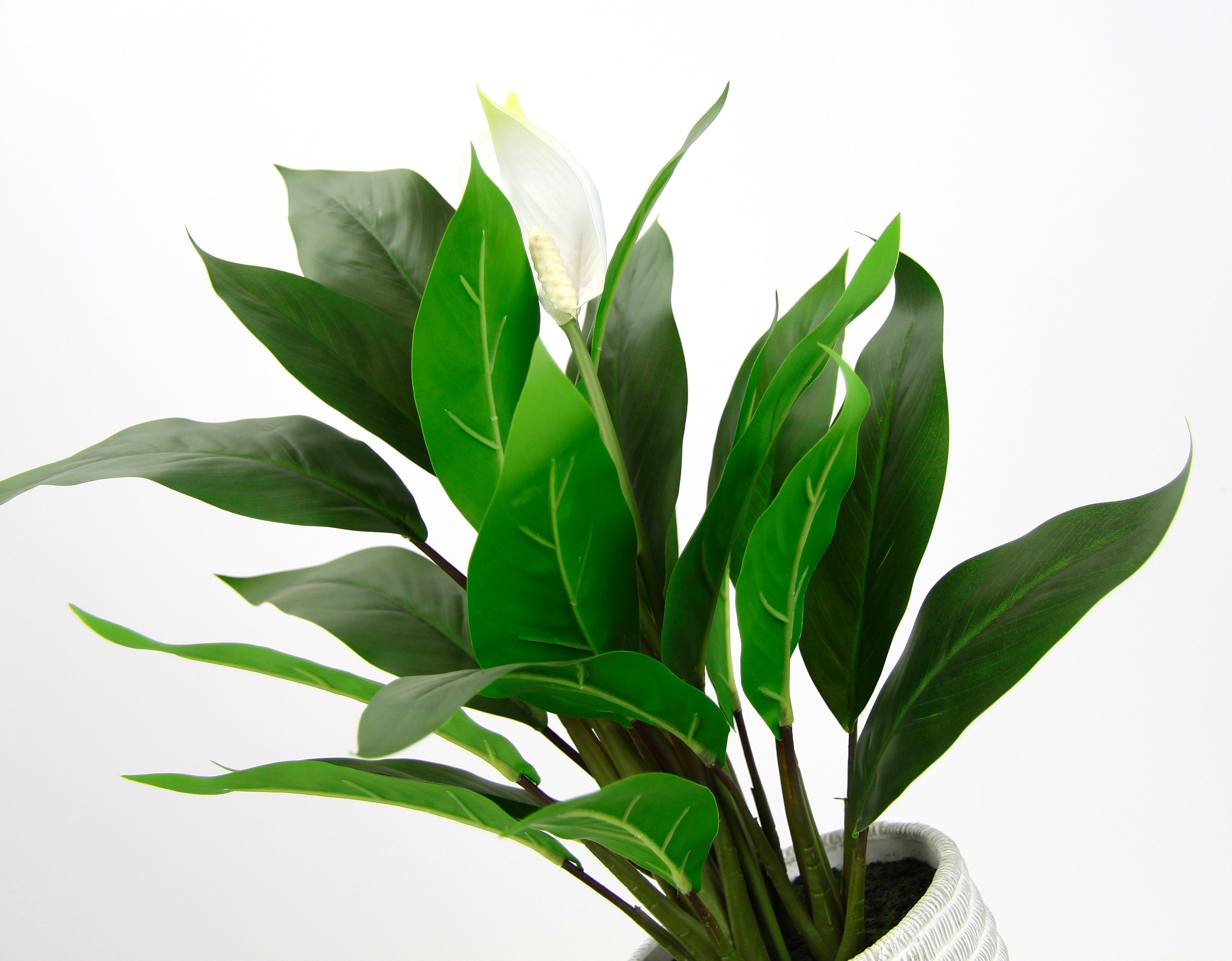 I.GE.A. Kunstplant Spathiphyllum in pot anthurium calla flamingobloem exotische plant met witte bloemen (1 stuk)