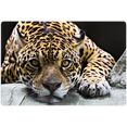 wall-art print op glas jaguar 100-70 cm zwart