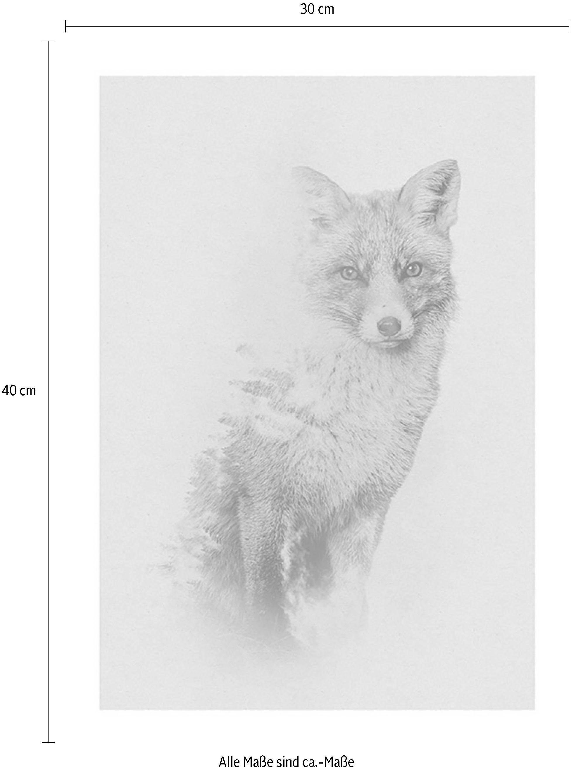 Komar Wanddecoratie Animals forest Fox Wanddecoratie - zonder lijst (1 stuk)