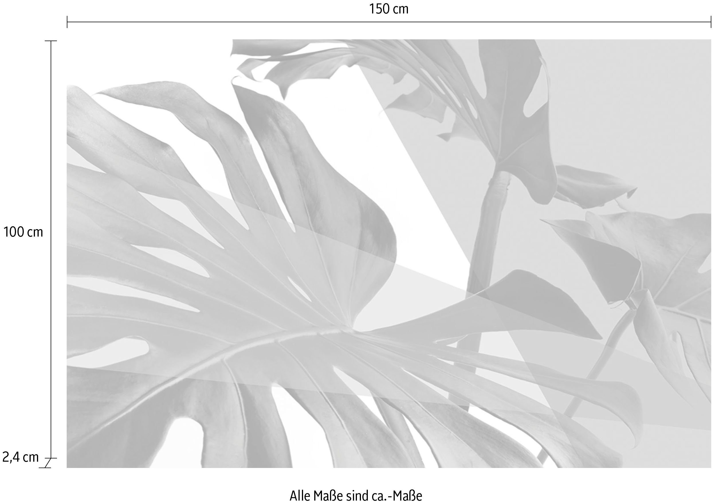 queence Artprint op acrylglas Bladeren Fine Art-print in galeriekwaliteit
