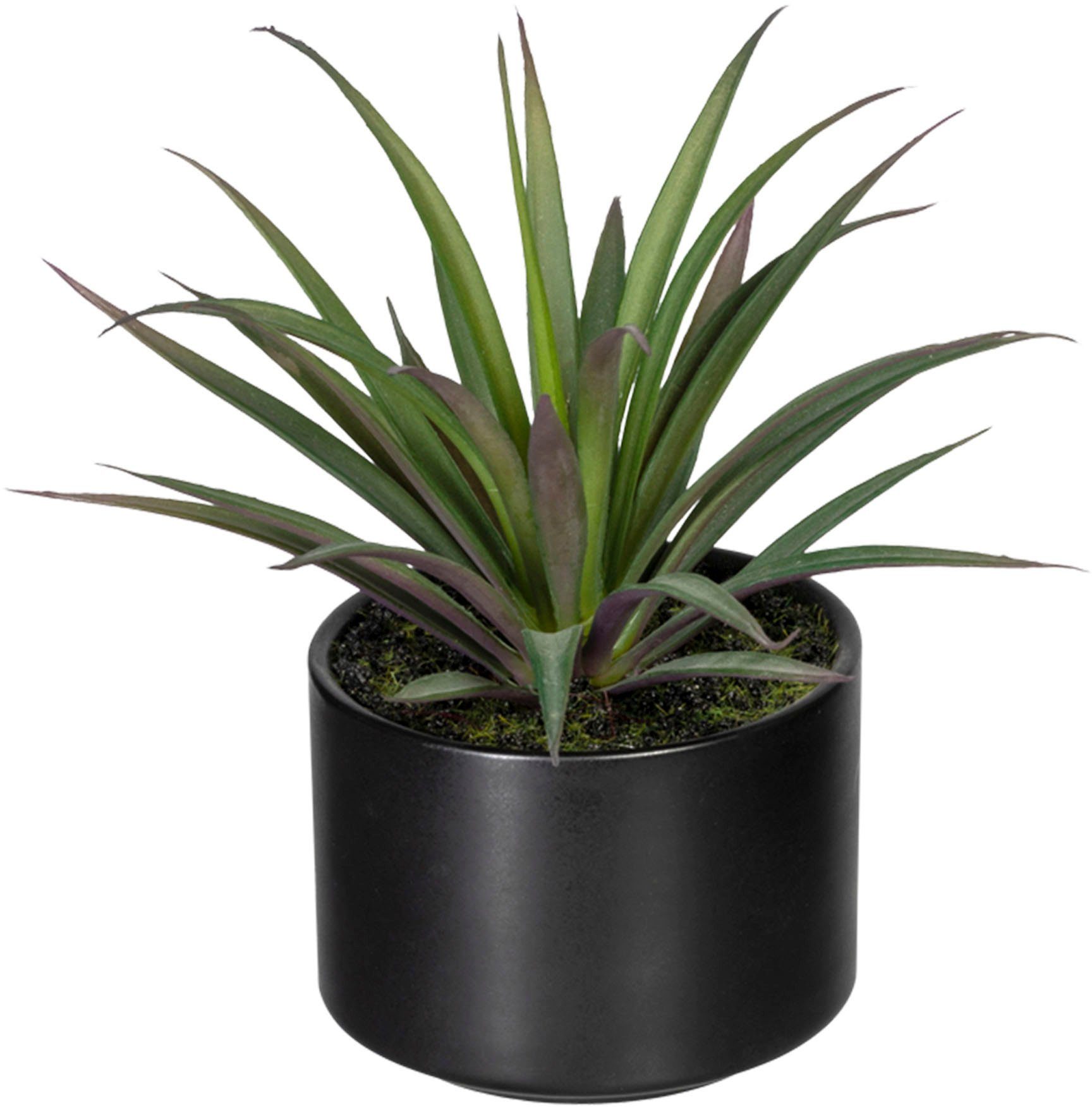 Creativ green Kunst-potplanten Set van aloë, agave en tillandsia (3 stuks)