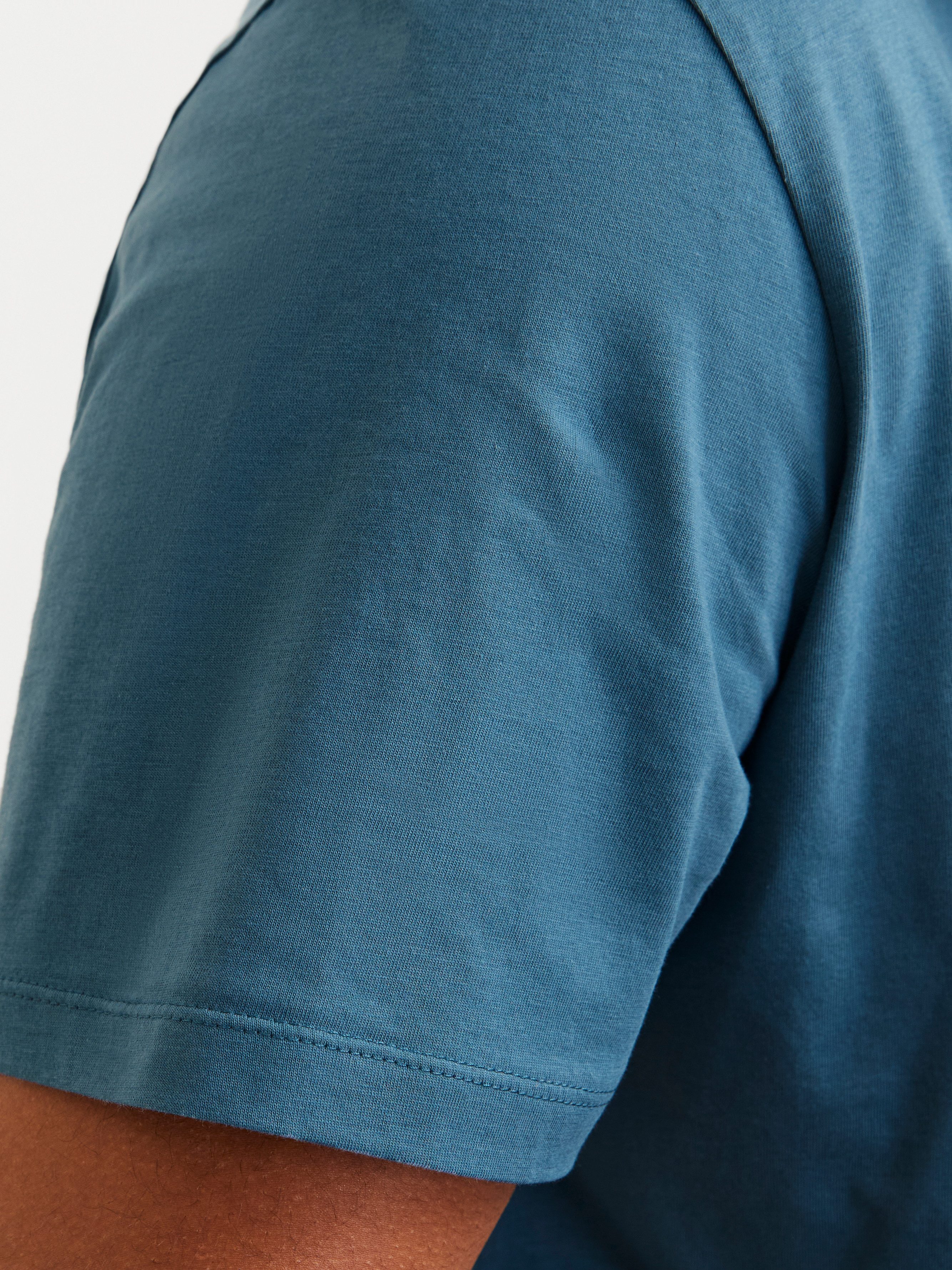 Jack & Jones PlusSize T-shirt JJELOGO TEE SS O-NECK 2 COL AW24 S PLS