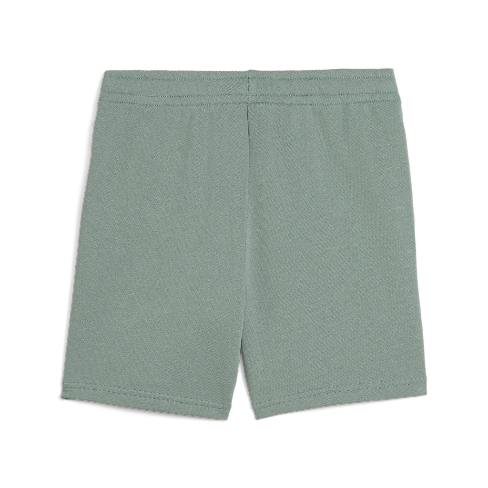 PUMA Trainingsshort ESS 2 COLOR NO. 1 LOGO SHORTS TR B