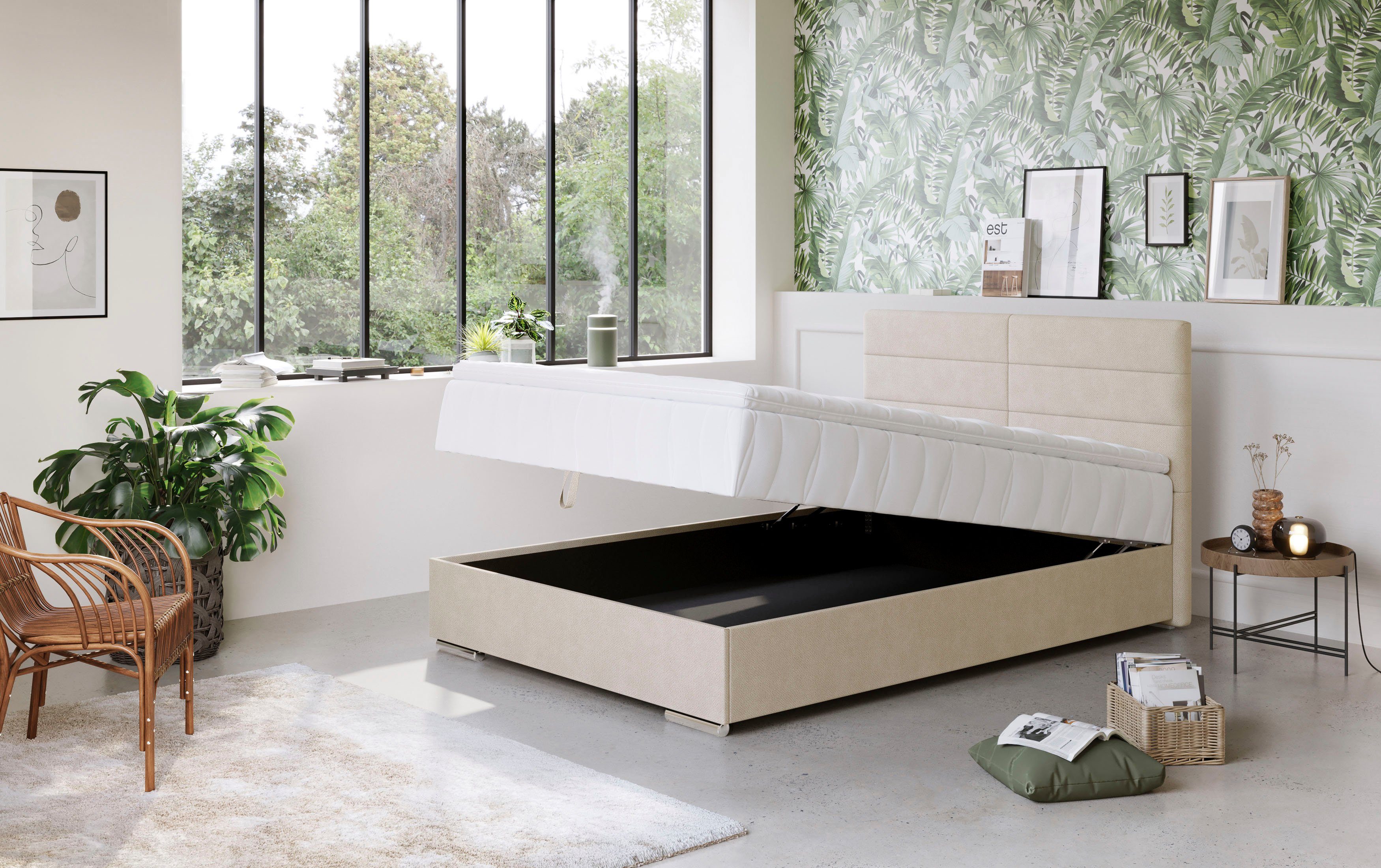 COTTA Boxspring Tom met bedkist, topmatras en sierkussen