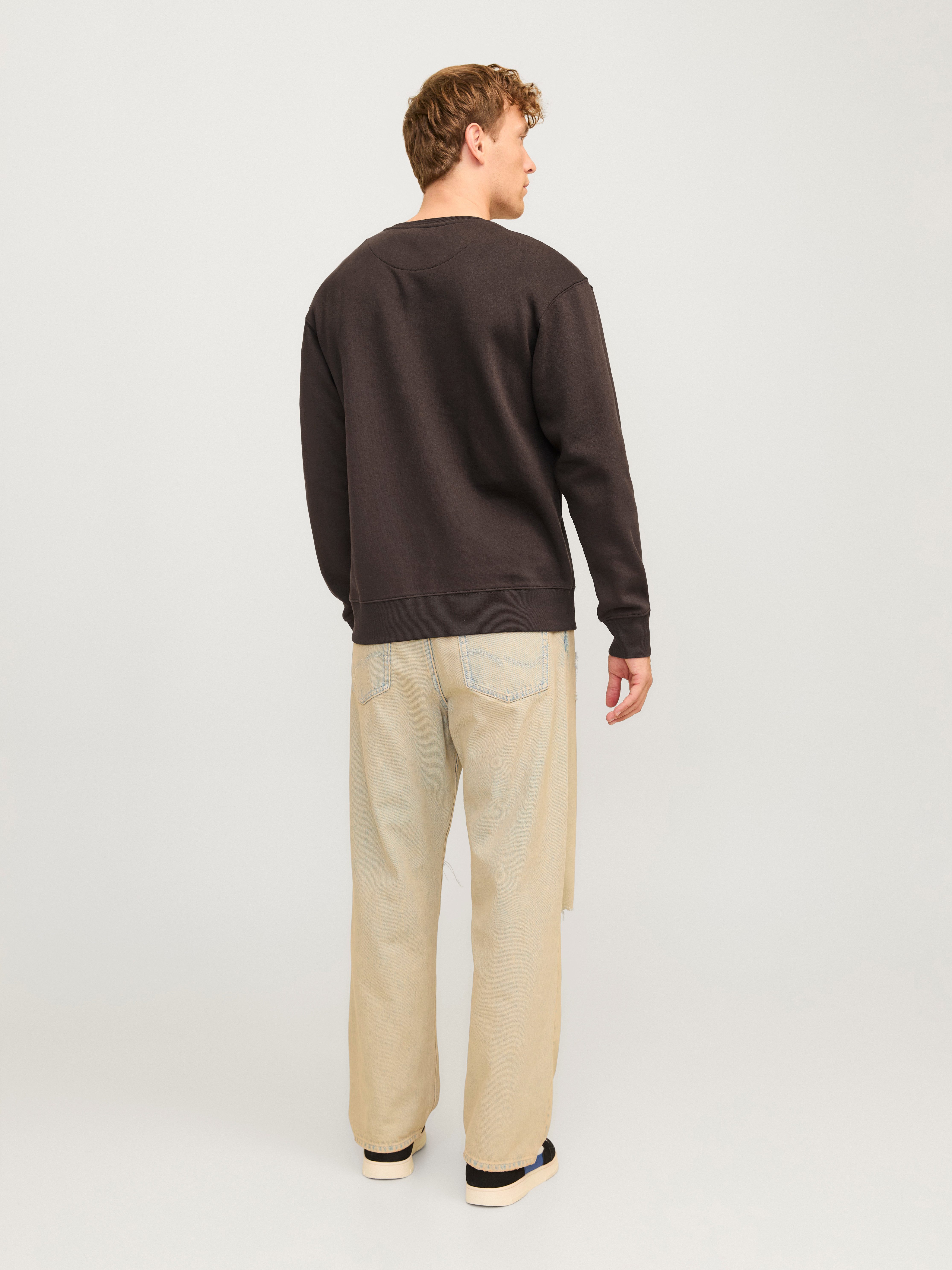 Jack & Jones Sweatshirt JJESTAR BASIC SWEAT CREW NECK NOOS