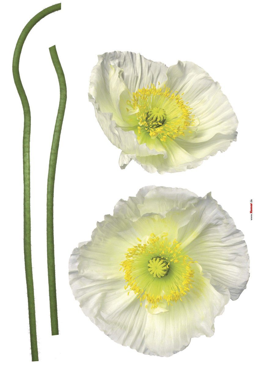 Komar Wandfolie Jackie - afm. 50 x 70 cm zelfklevend, wandstickers (4-delig) wandstickers multicolor