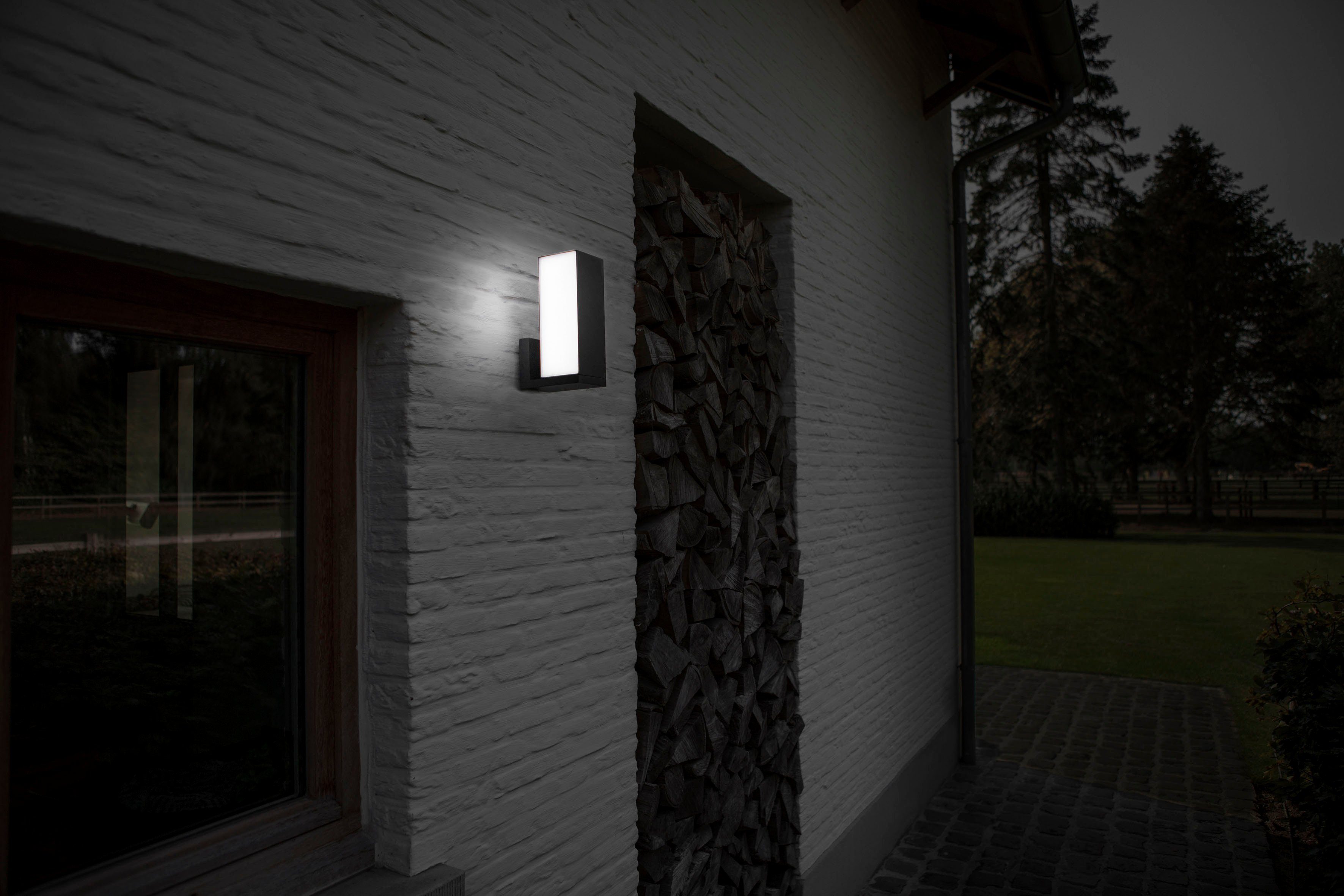 LUTEC Slimme ledlamp Cuba Smart-home (1 stuk)