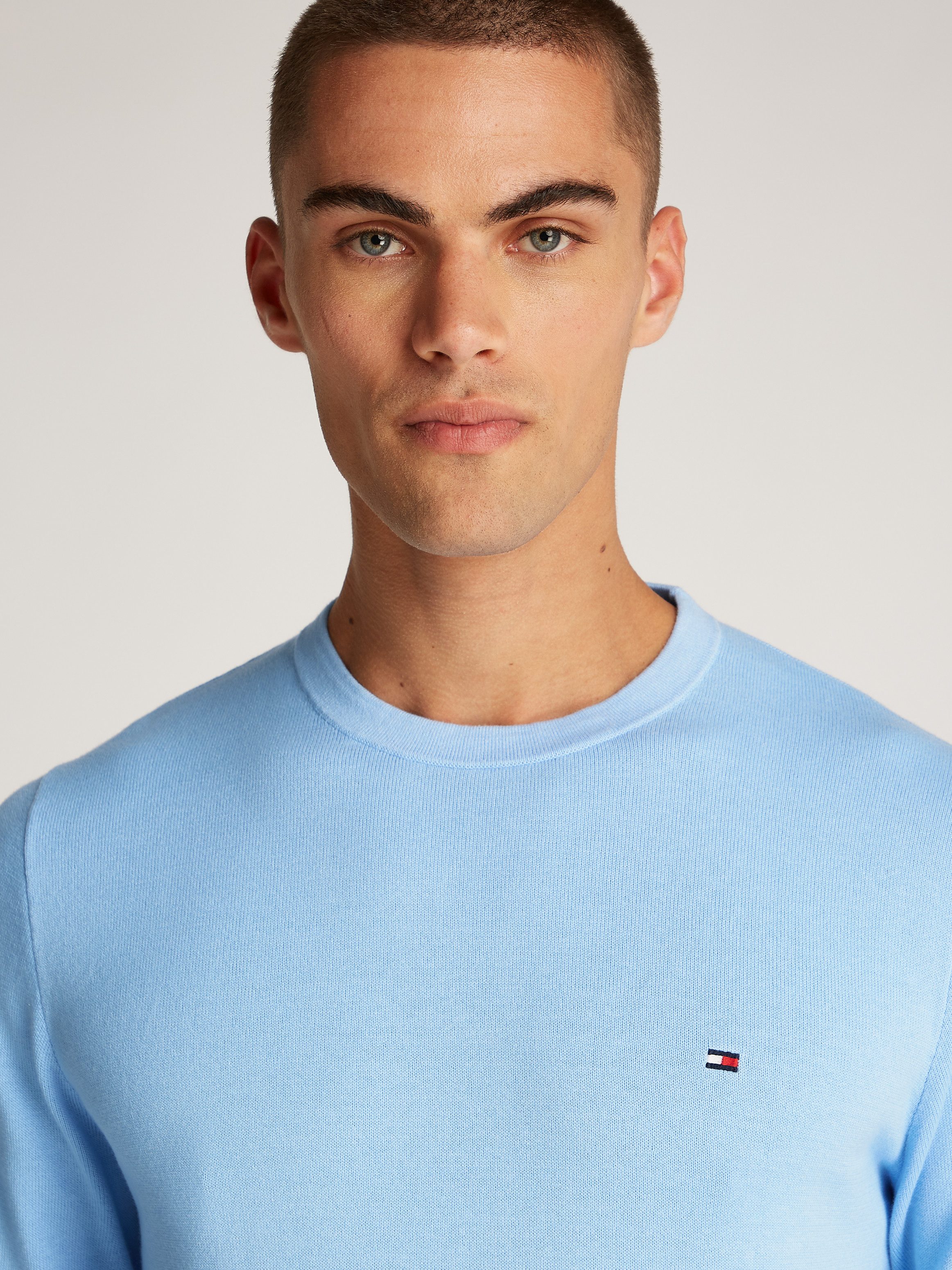 Tommy Hilfiger Trui met ronde hals DE COTTON CREW NECK