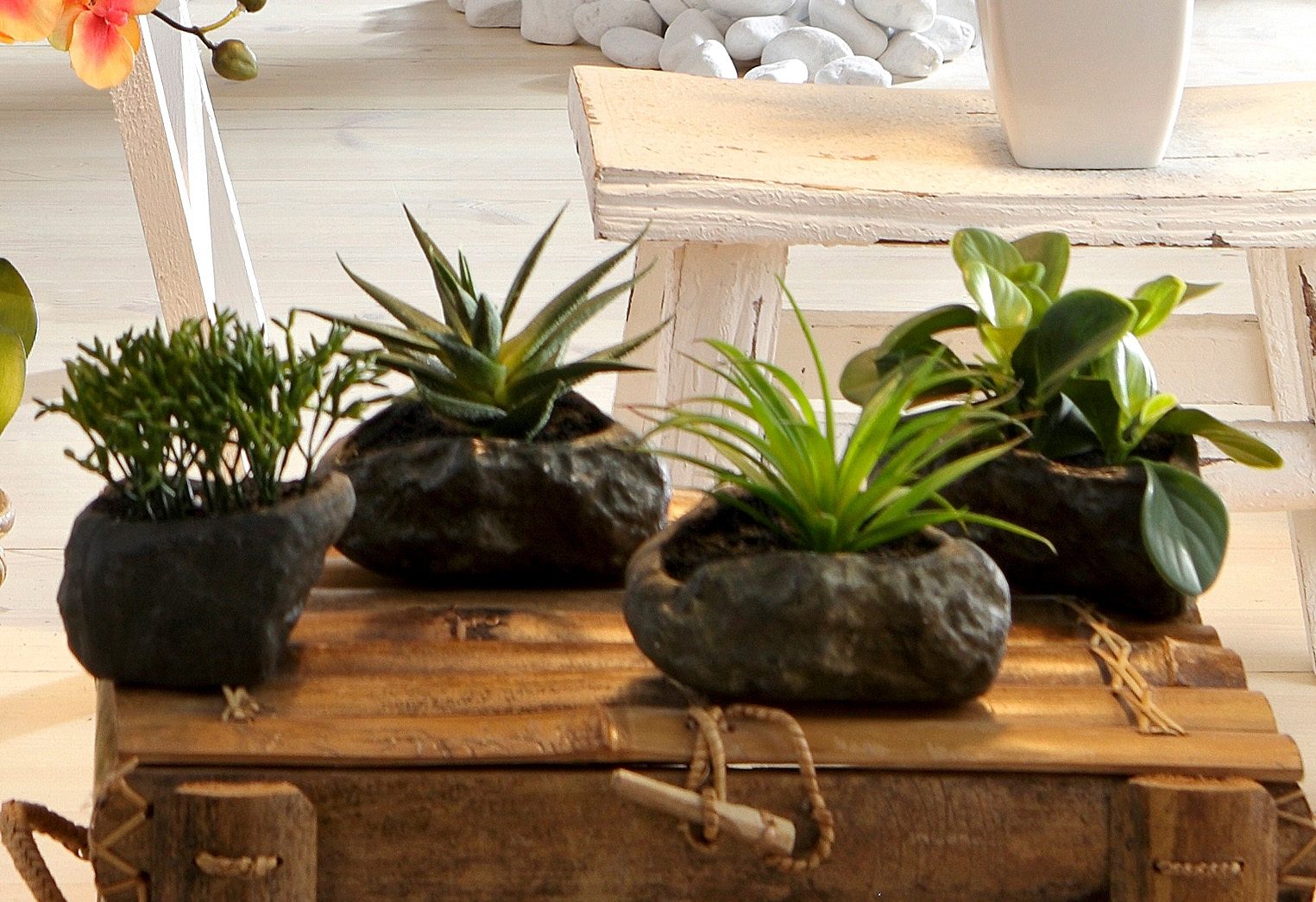 Home affaire Kunstplant Vetplanten (4 stuks)
