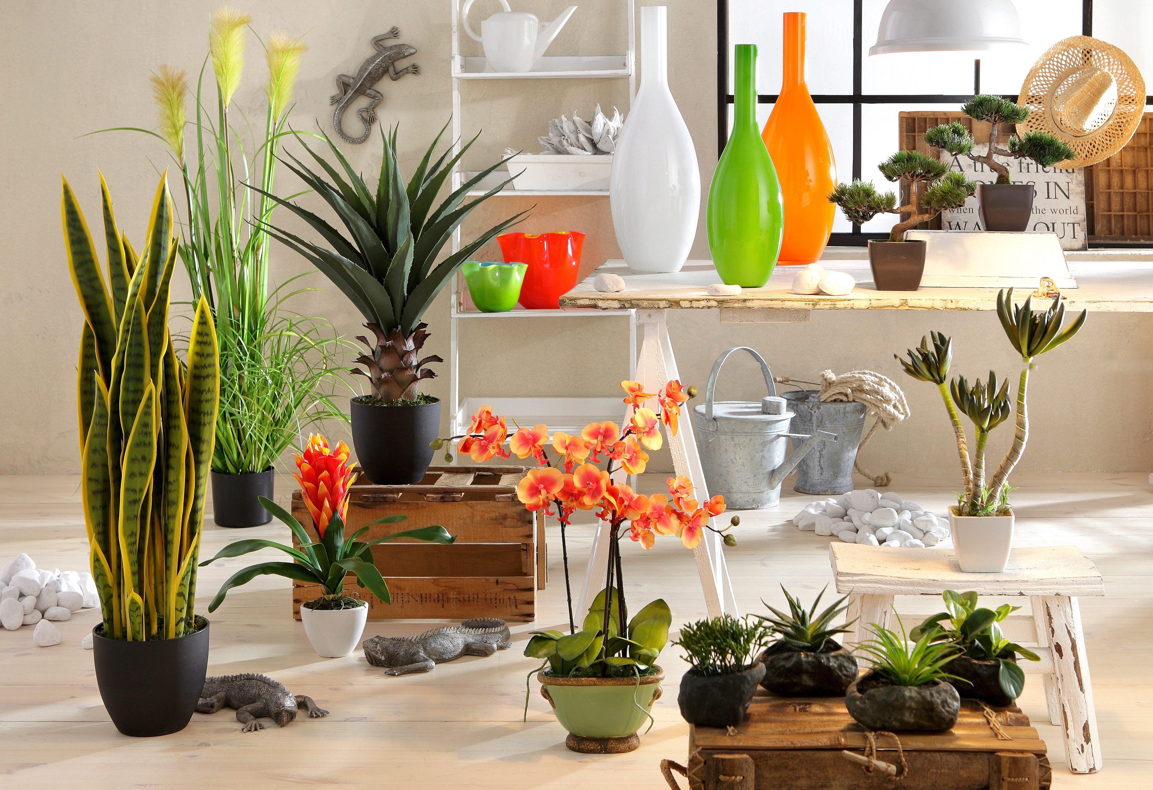 Home affaire Kunstplant Vetplanten (4 stuks)