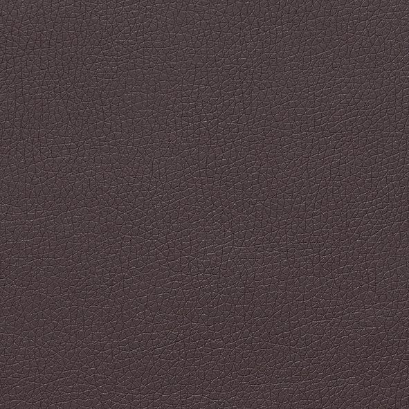 exxpo - sofa fashion Eetkamerstoel Barista, lounge stoel op wielen met hoge bodemvrijheid smalle armleuningen, totale breedte ca. 61 cm, comfortabele zithoogte ca. 49 cm