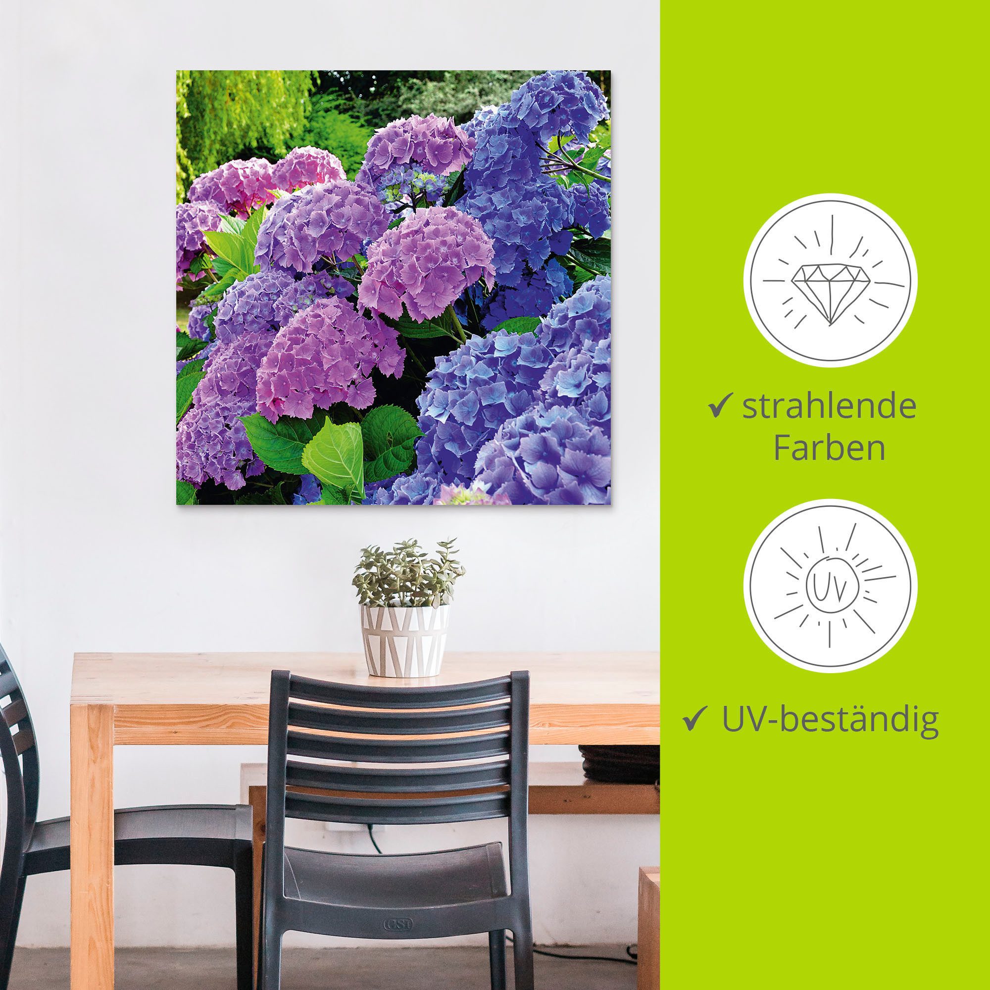 Artland Artprint Hortensia's in de tuin als artprint van aluminium, artprint voor buiten, artprint op linnen, poster, muursticker