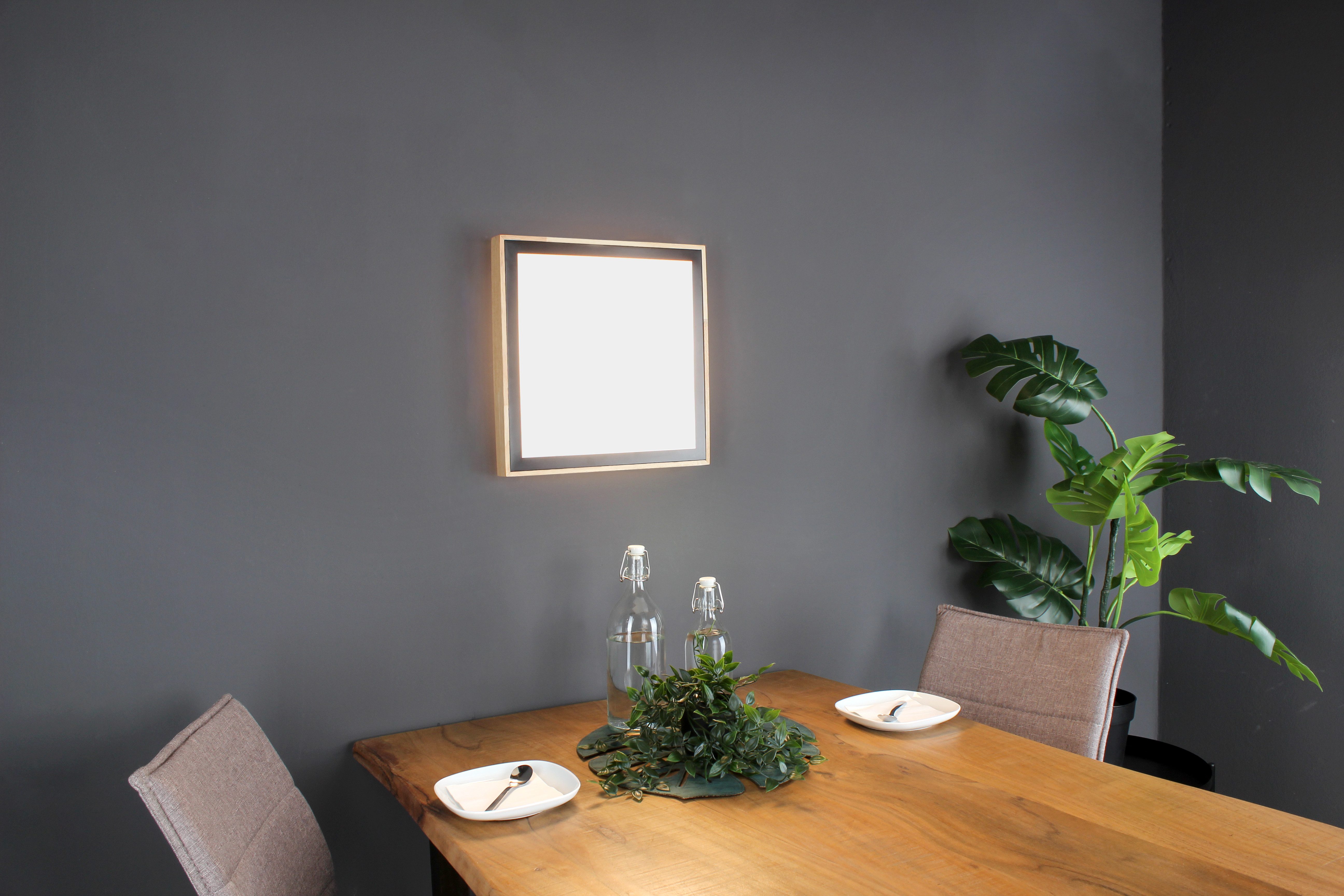 ECO-LIGHT Led-plafondlamp Solstar (1 stuk)